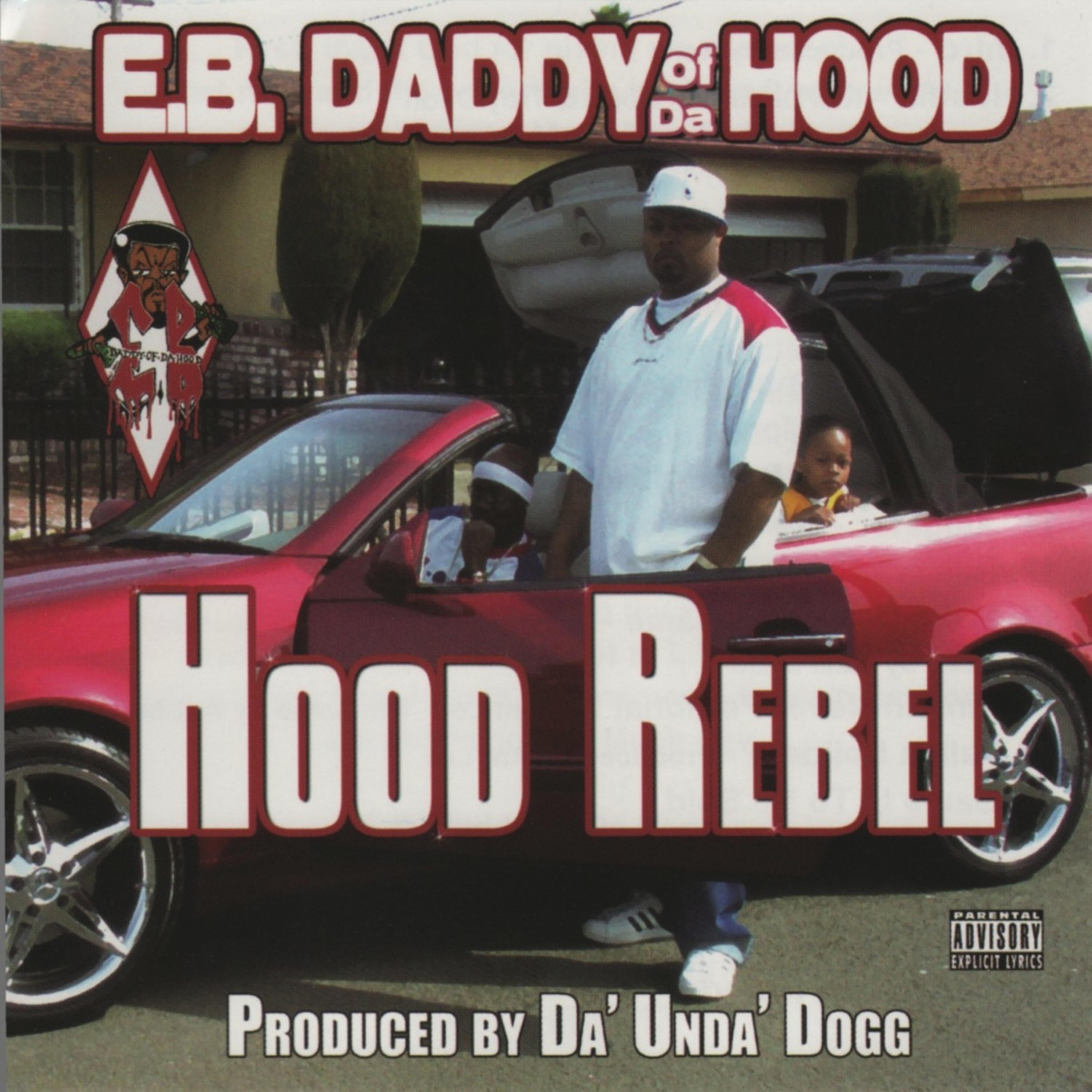 Постер альбома Hood Rebel