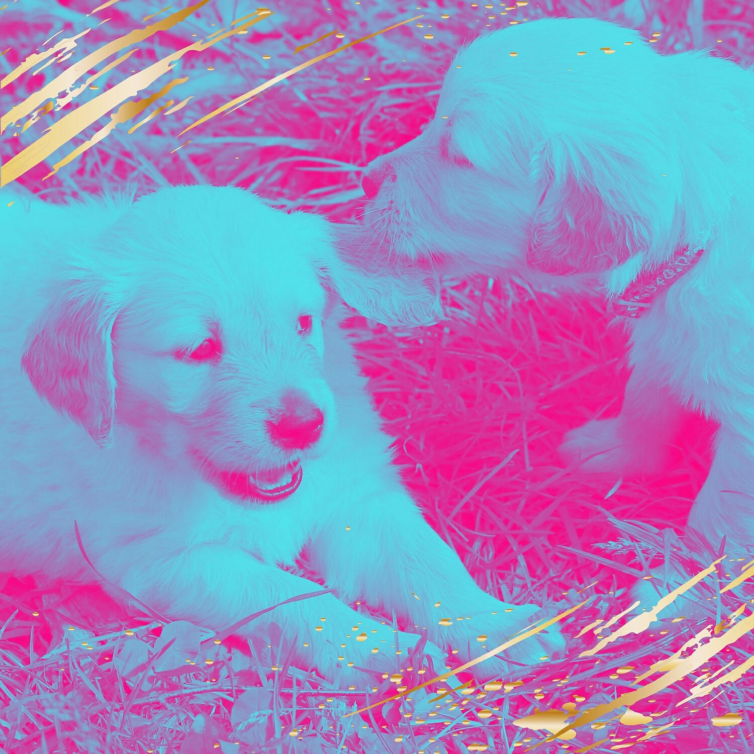 Relaxing Dog Music All-stars - Sprightly Backdrops for Calming Your Puppy