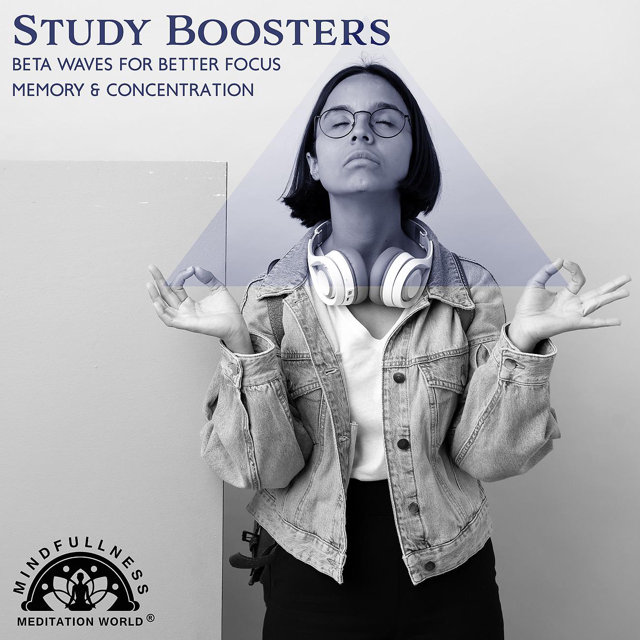 Постер альбома Study Boosters - Beta Waves for Better Focus, Memory & Concentration