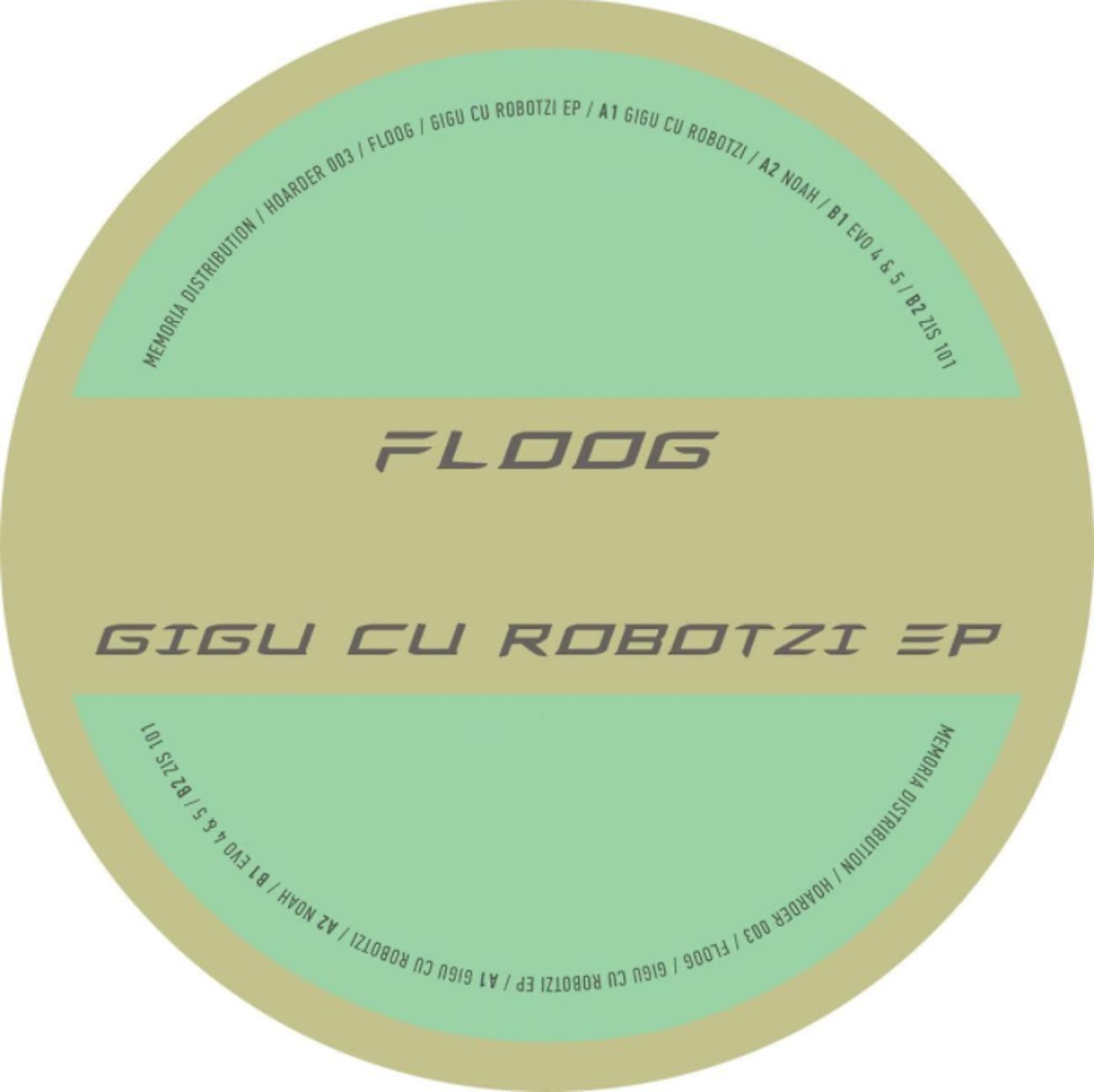 Постер альбома Gigu Cu Robotzi