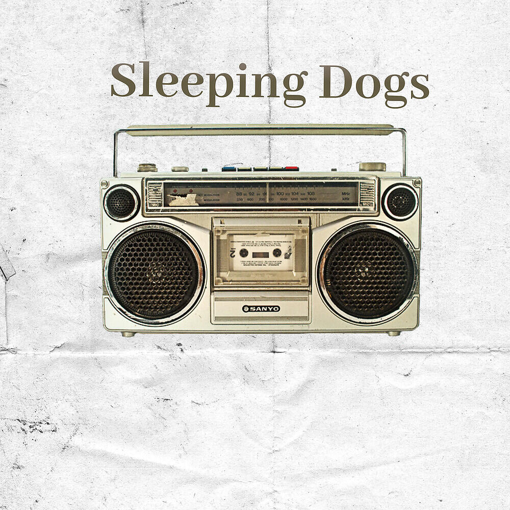 Eddison Fountain - Sleeping Dogs