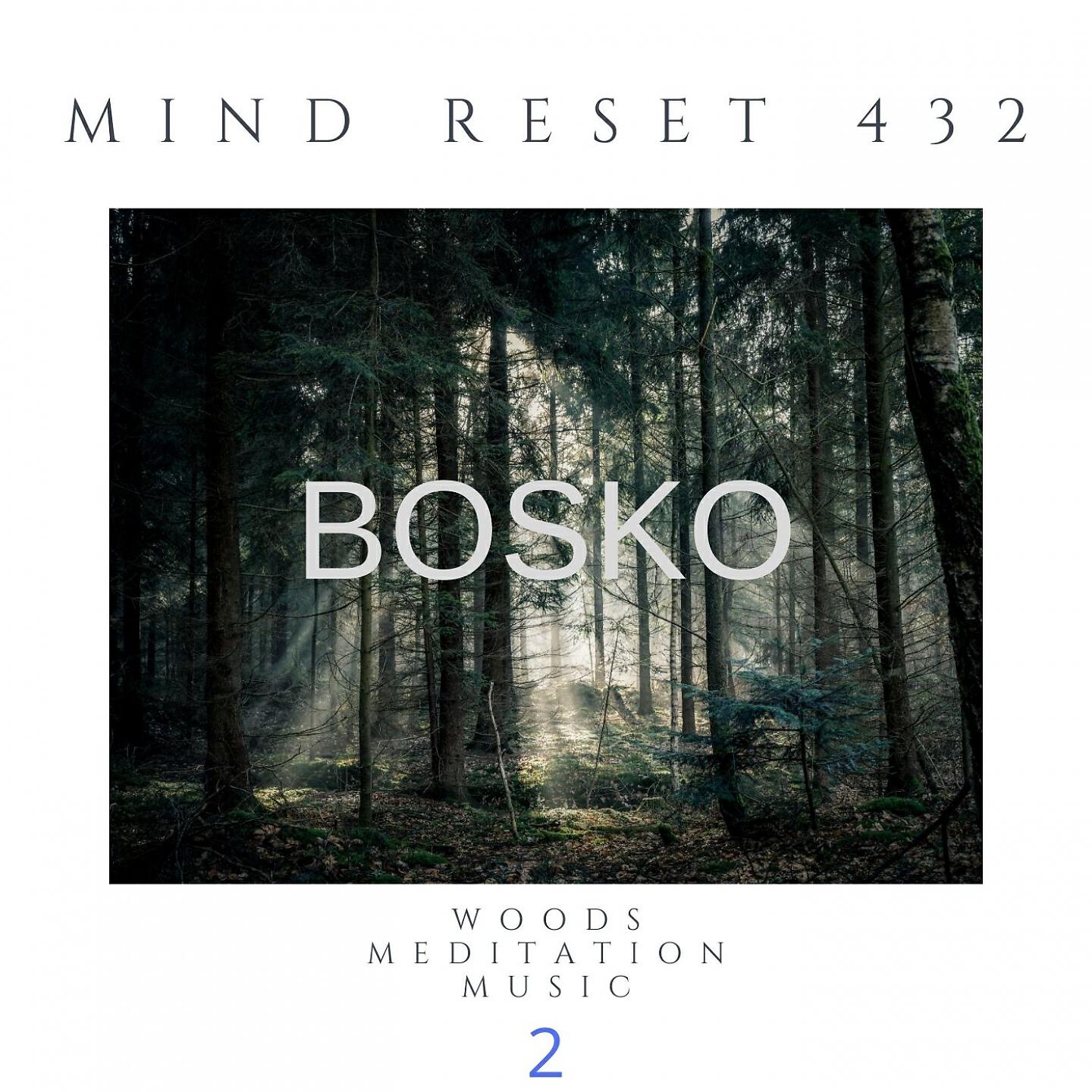 Mind Reset 432 - BOSKO Woods meditation music (2)