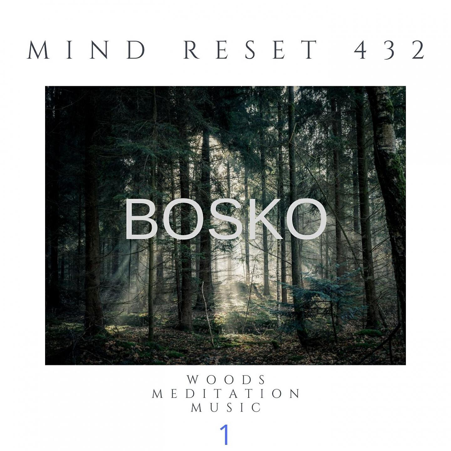 Mind Reset 432 - BOSKO Woods meditation music (1)