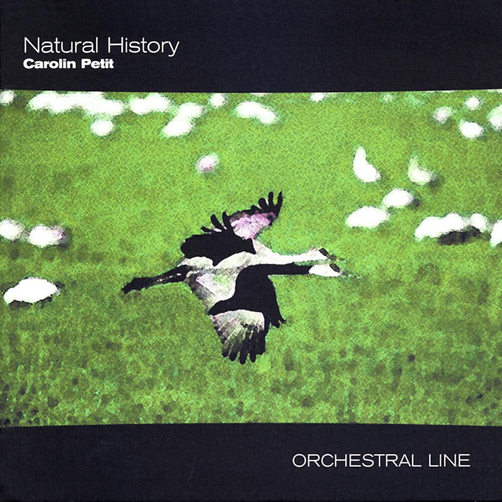 Постер альбома Natural History