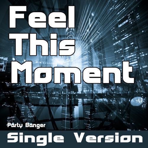 Постер альбома Feel This Moment (Single Version)