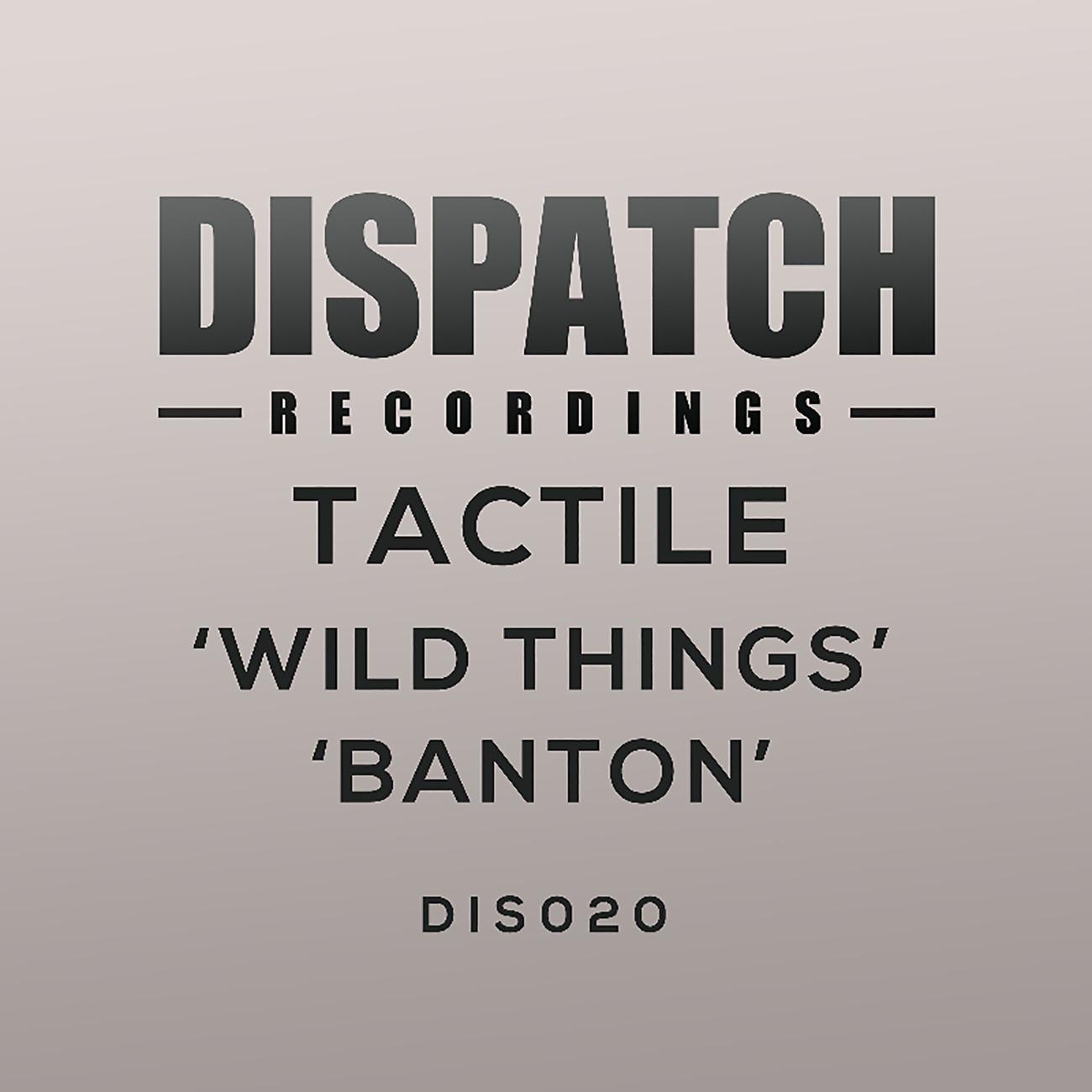 Постер альбома Wild Things / Banton