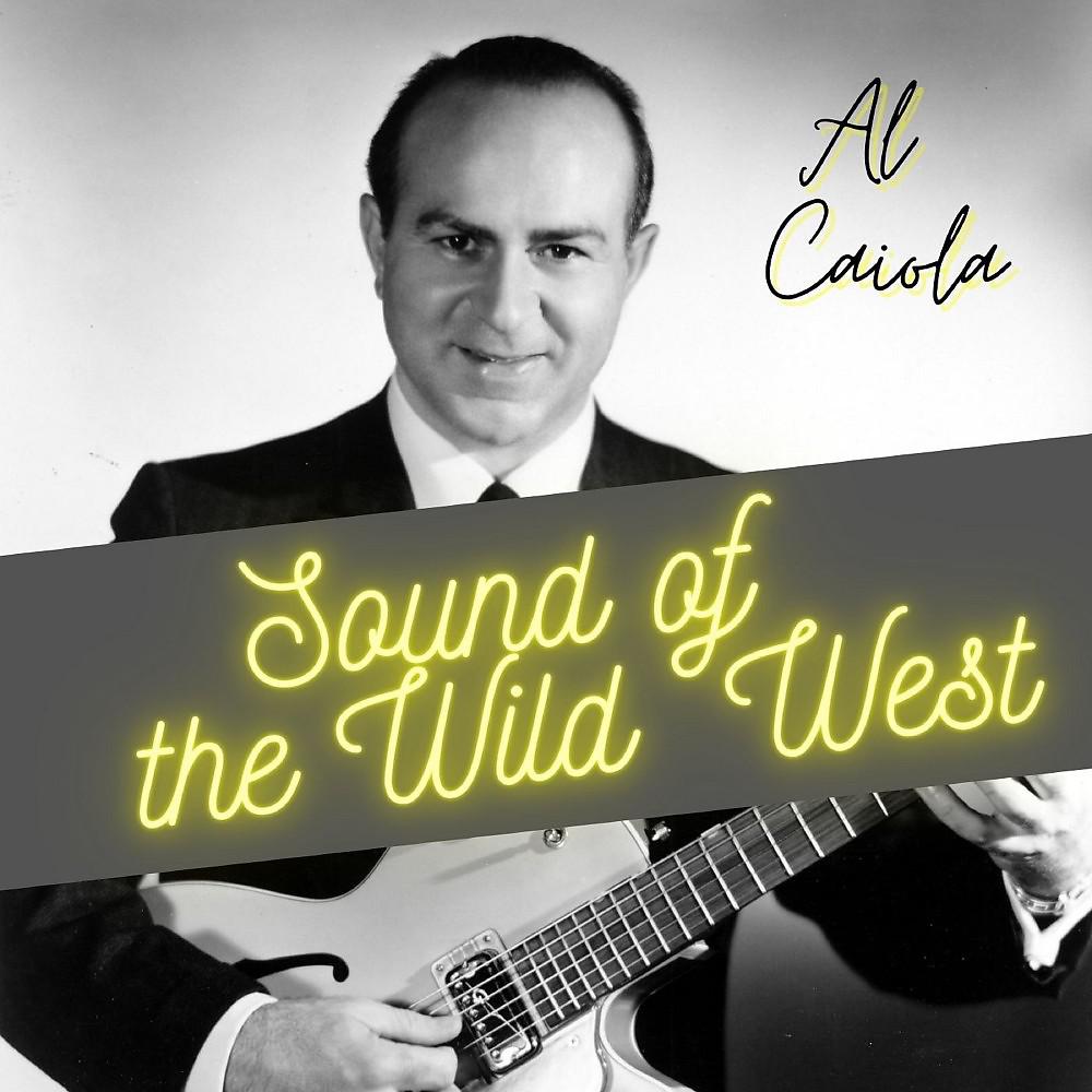 Постер альбома Sound of the Wild West