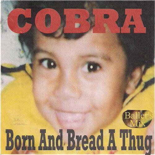 Cobra - Anti-Hater-Snithch Hustler