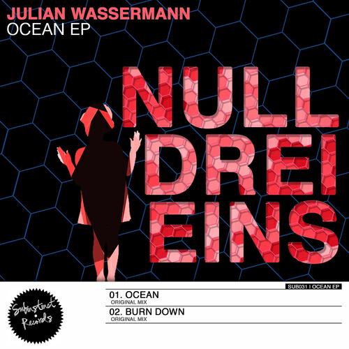 Julian Wassermann - Burn Down