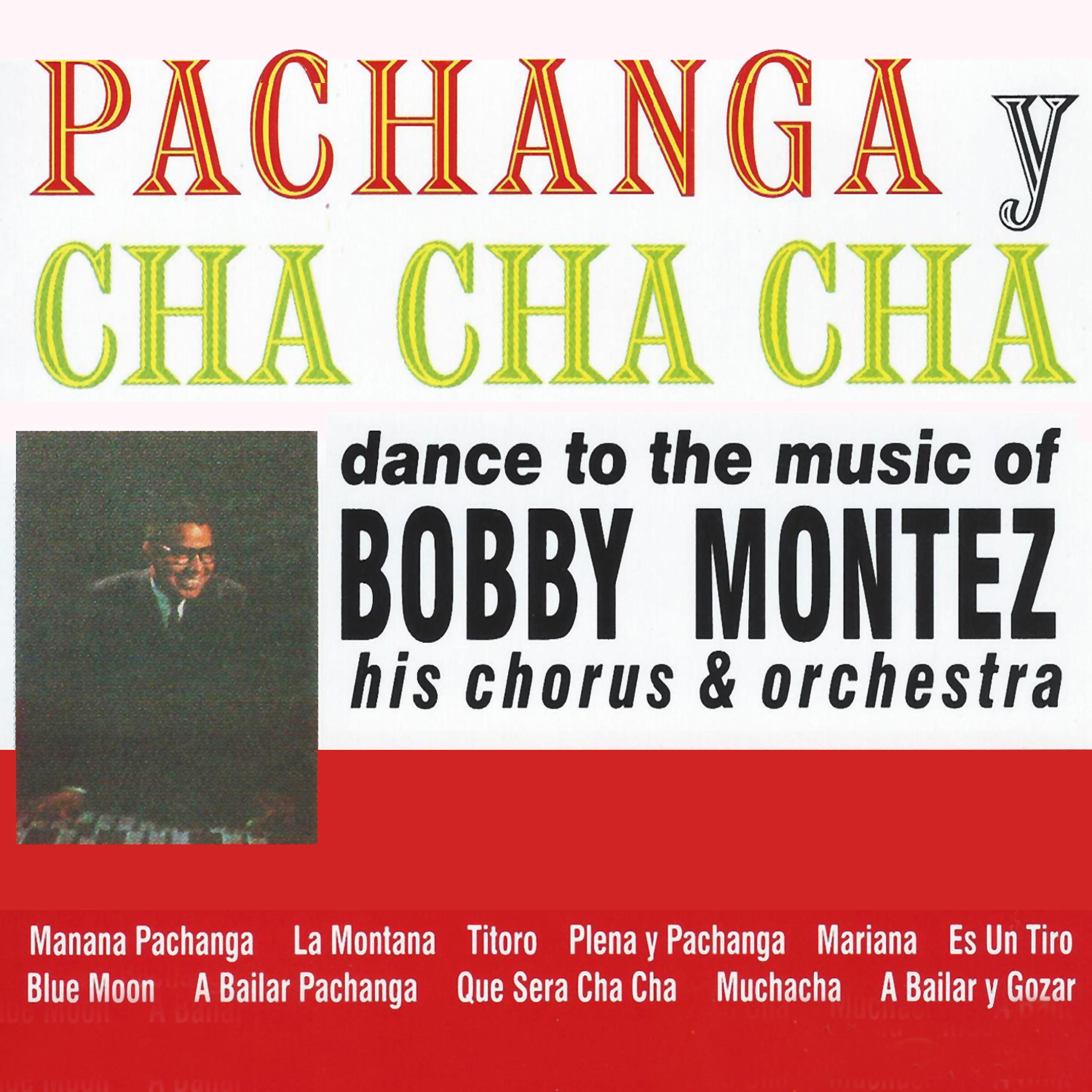Постер альбома Pachanga Y Cha Cha Cha
