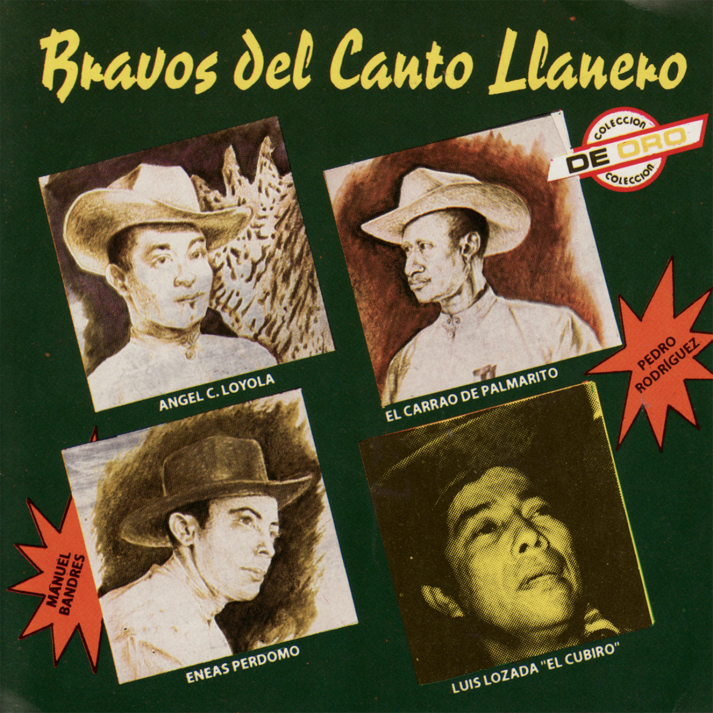 Постер альбома Bravos Del Canto Llanero