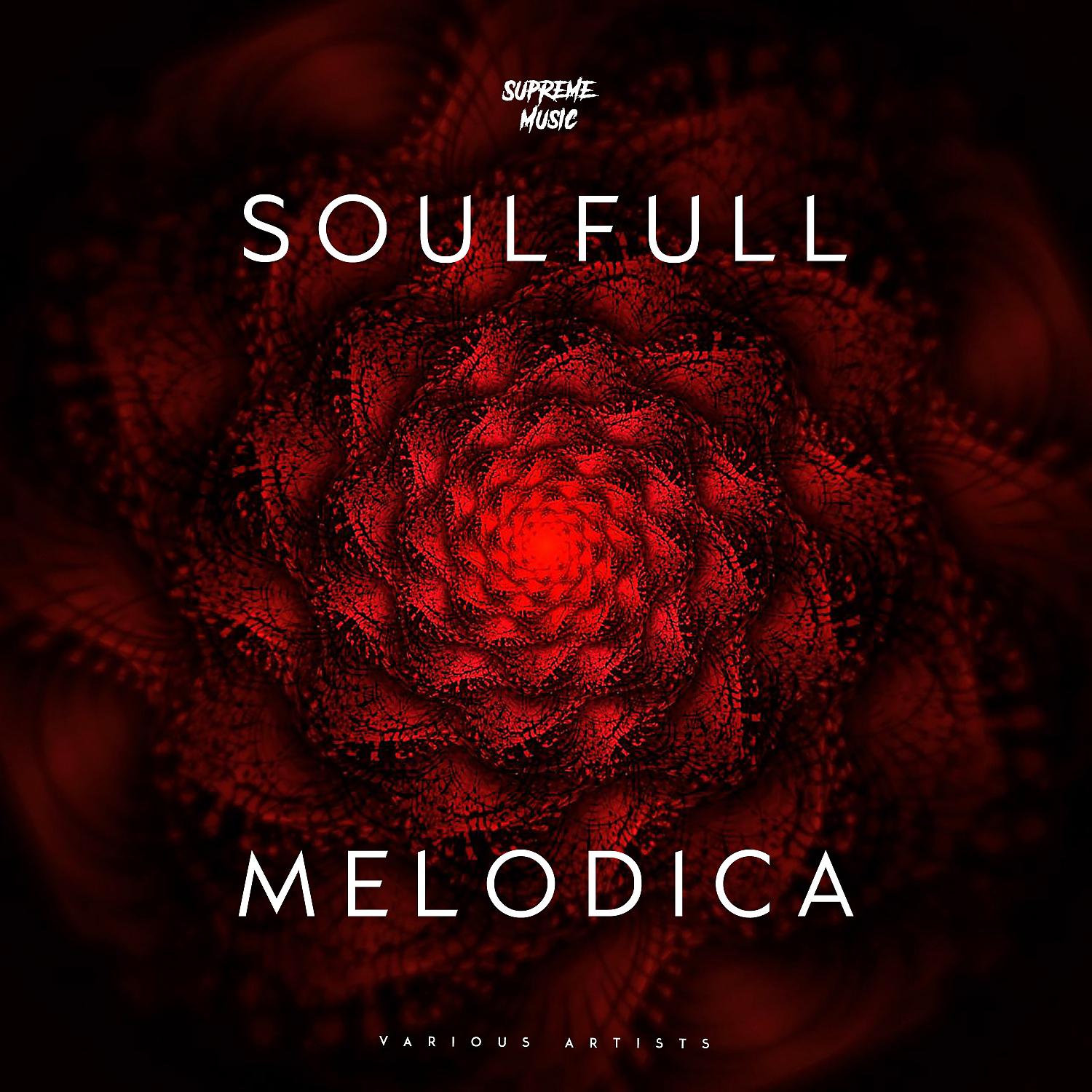 Постер альбома Soulfull Melodica