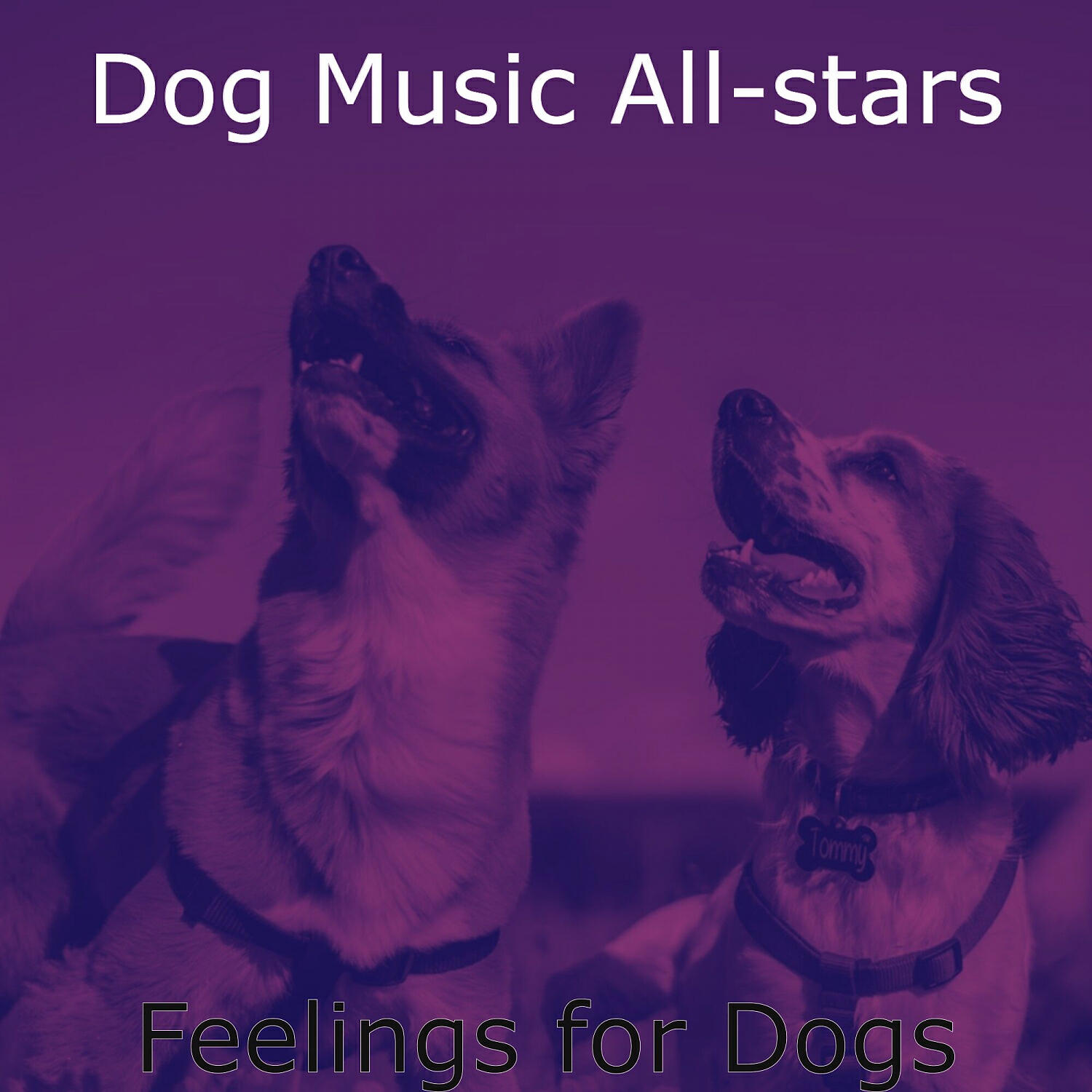 Dog Music All-stars - Urbane Ambience for Sleeping Dogs