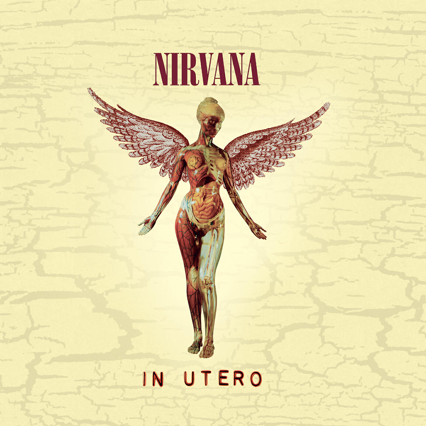 Nirvana - Radio Friendly Unit Shifter (Album Version)