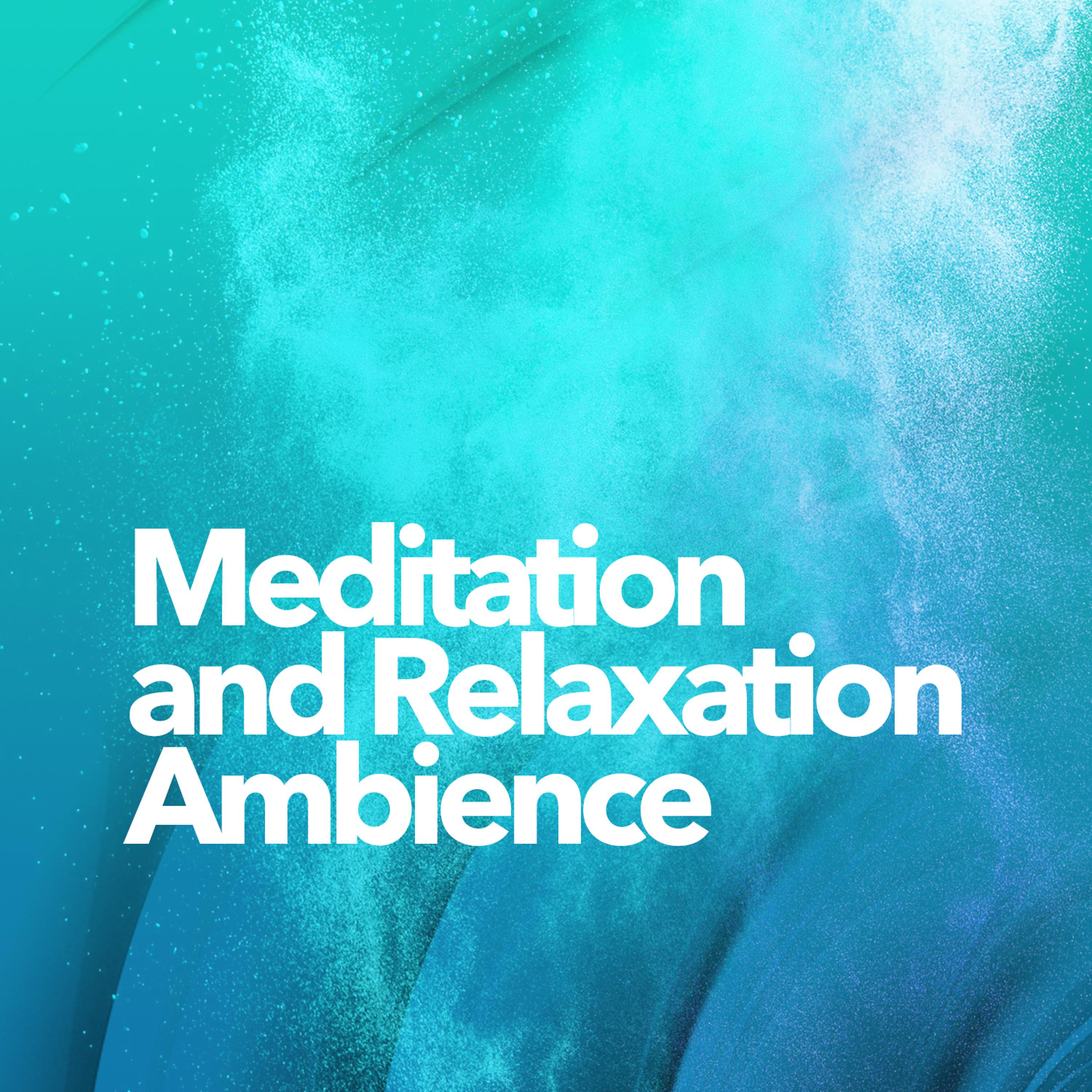 Постер альбома Meditation and Relaxation Ambience
