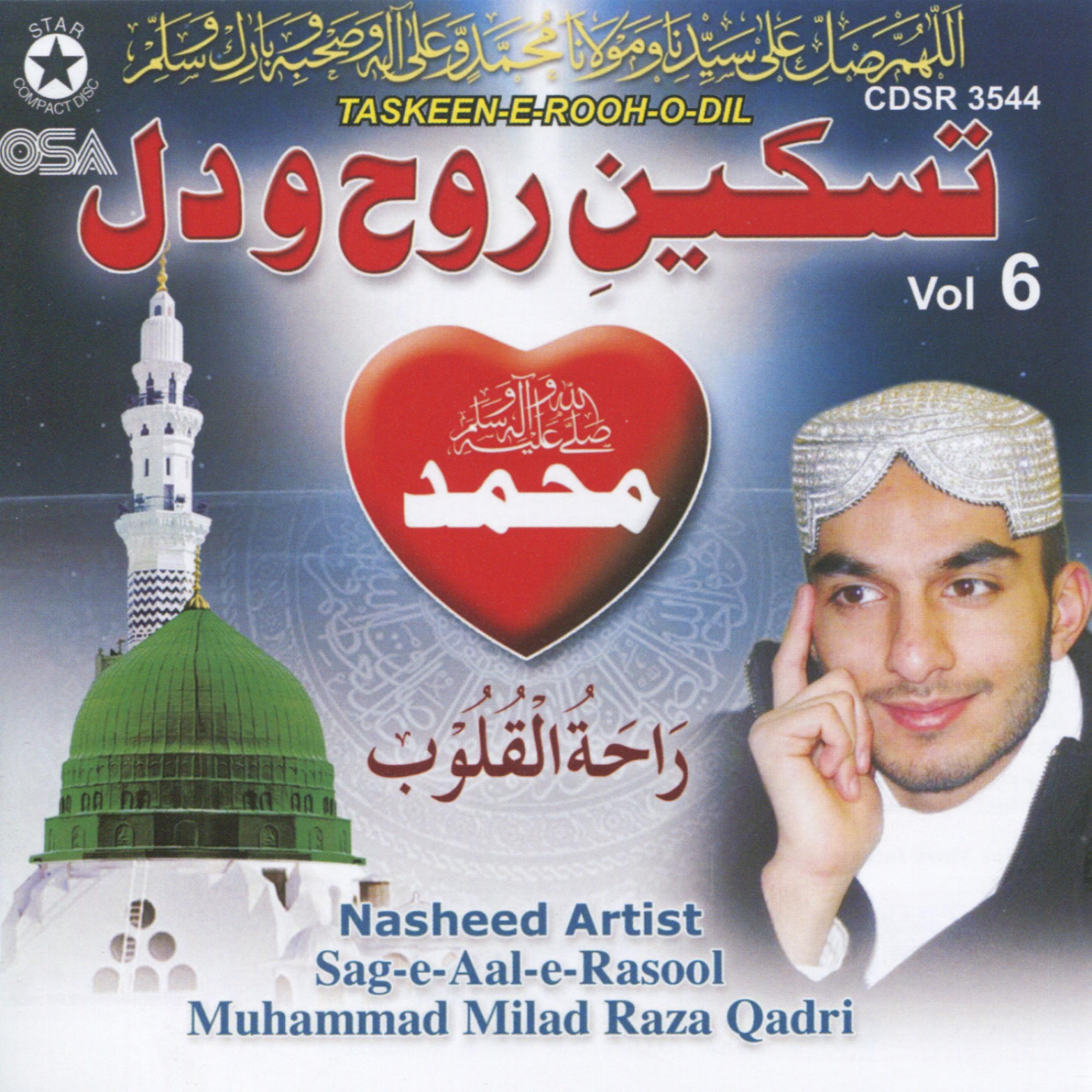 Muhammad Milad Raza Qadri - Durood sharif