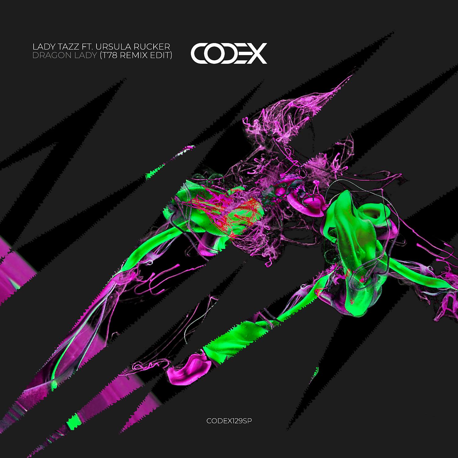 Постер альбома Dragon Lady (T78 Remix Edit)