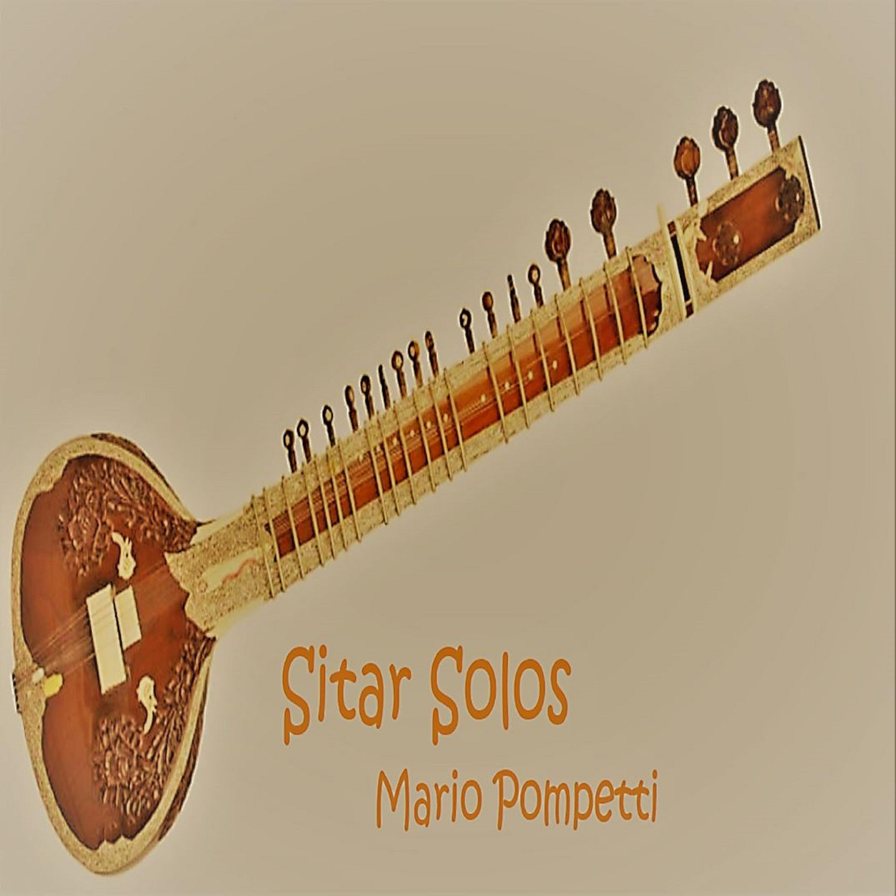 Постер альбома Sitar Solos