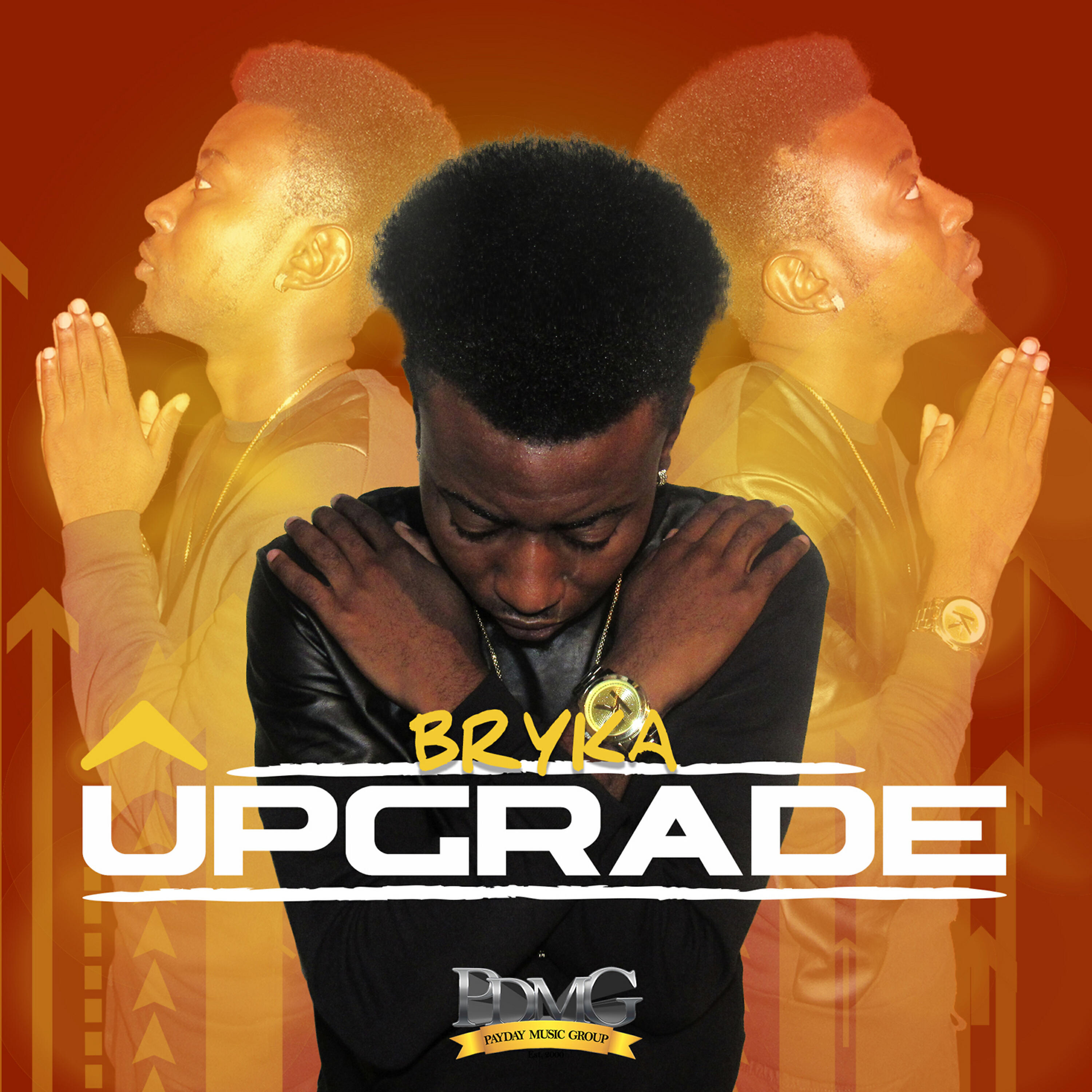 Bryka - Upgrade