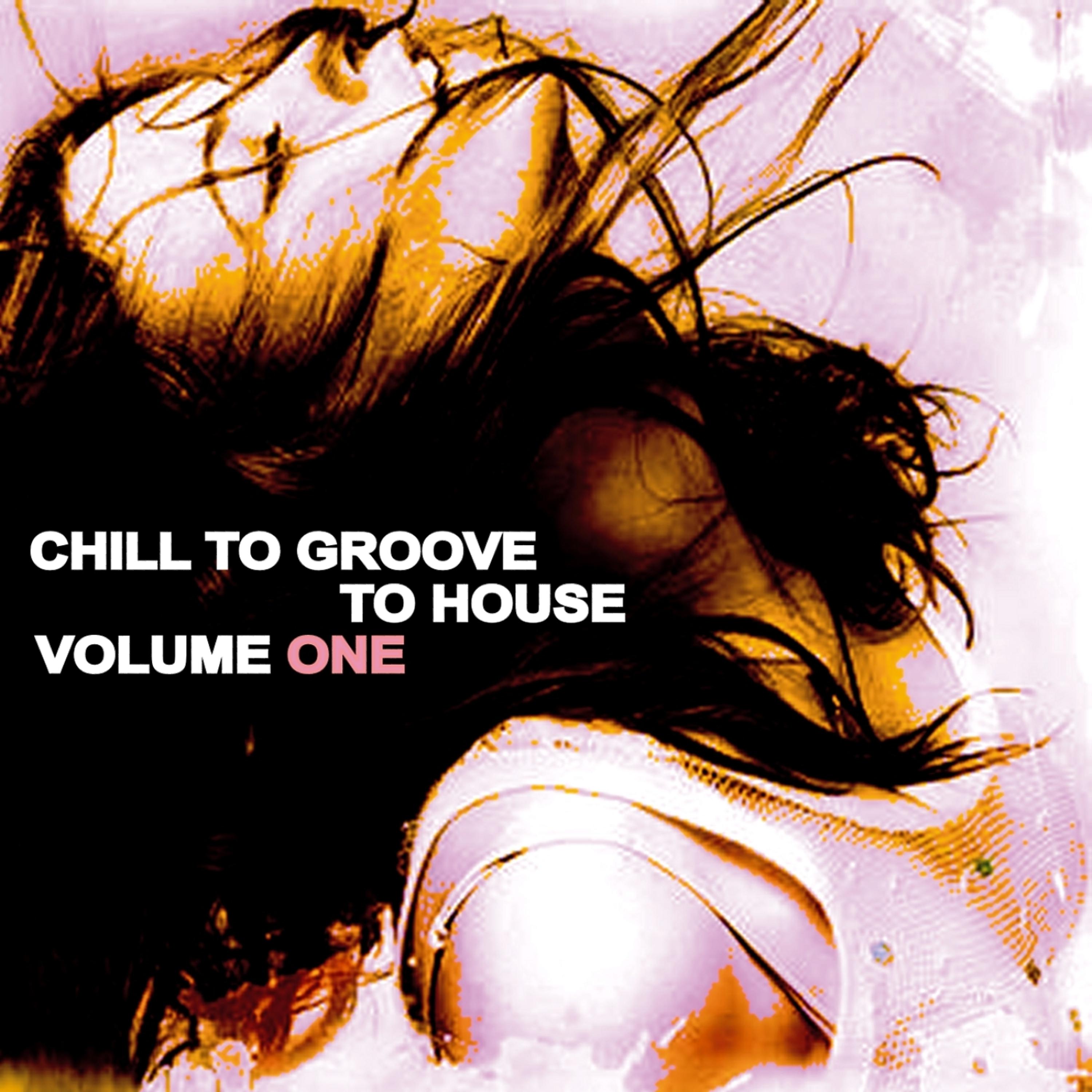 Постер альбома Chill to Groove to House, Vol. 1