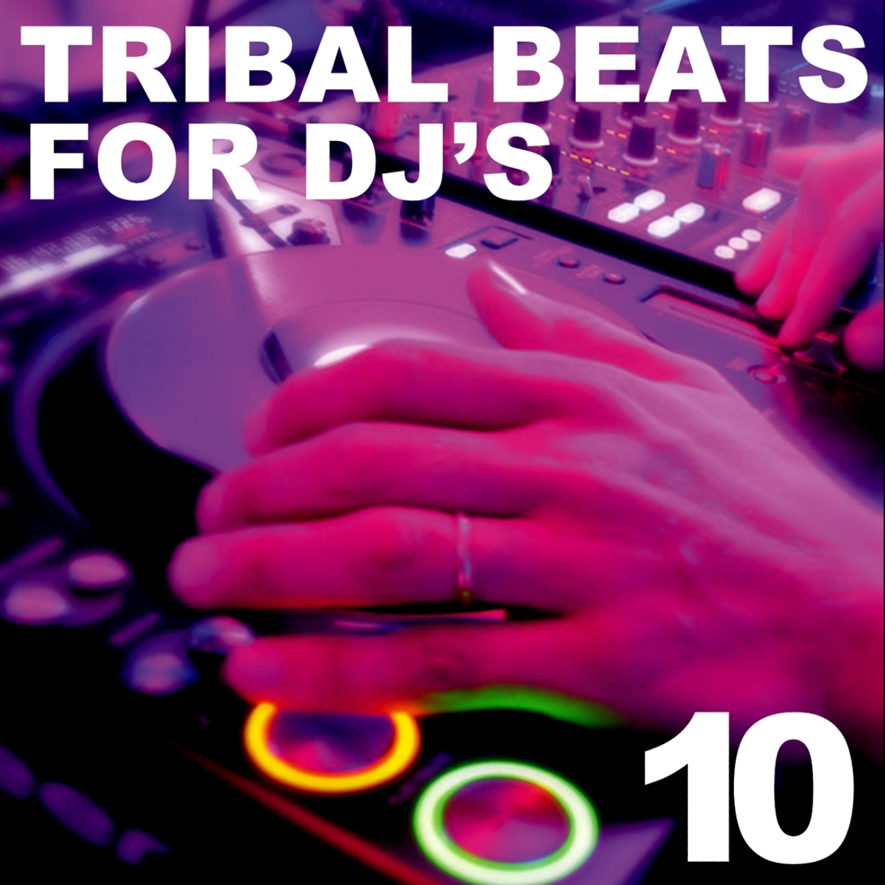 Постер альбома Tribal Beats for DJ's - Vol. 10