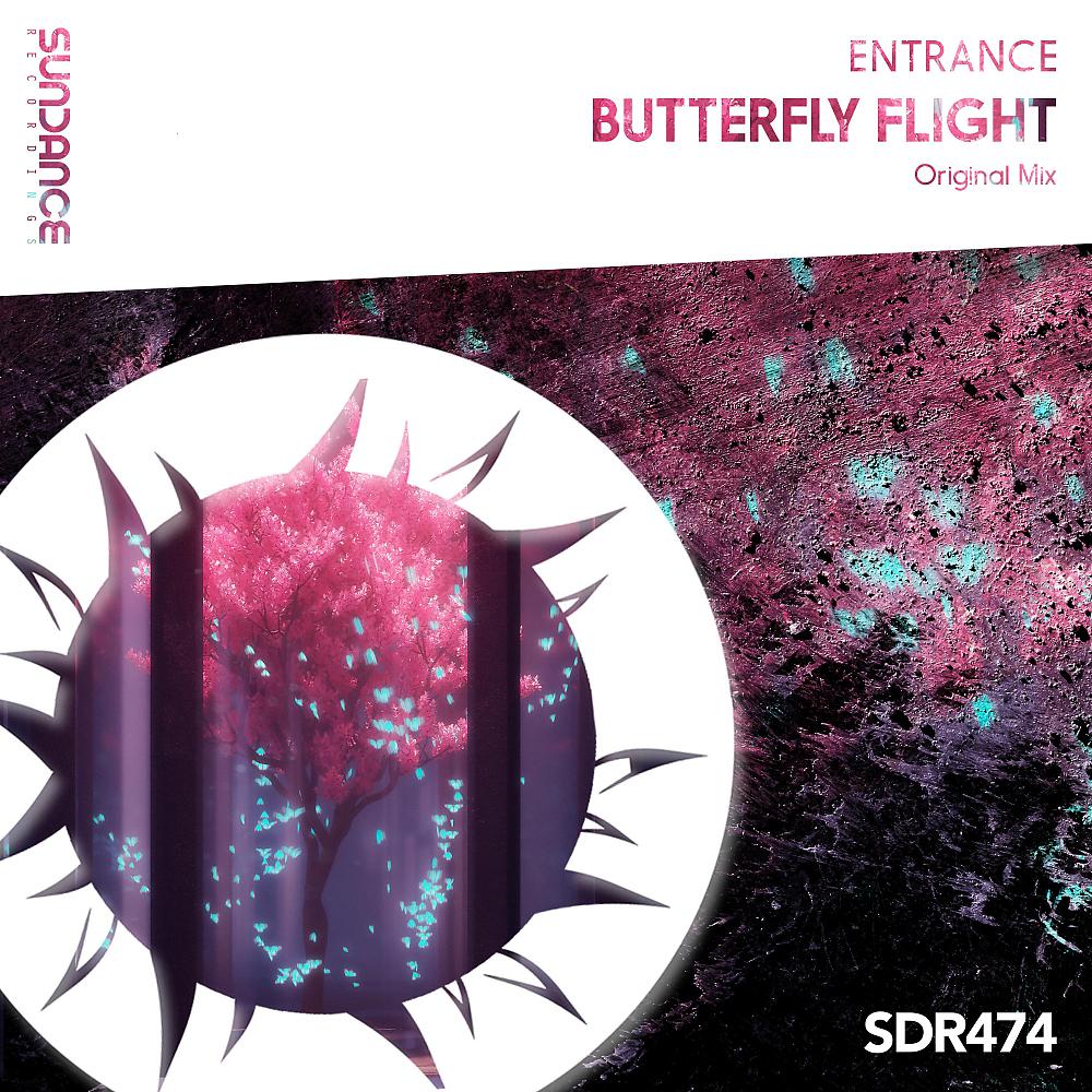 Постер альбома Butterfly Flight