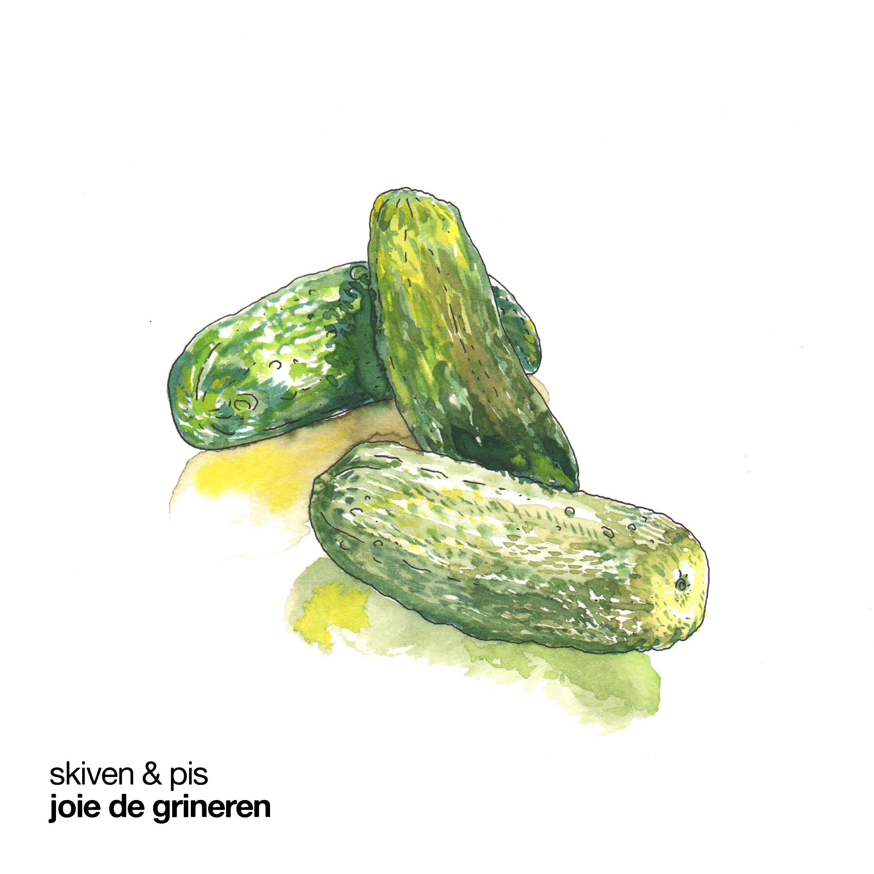 Постер альбома Joie de Grineren