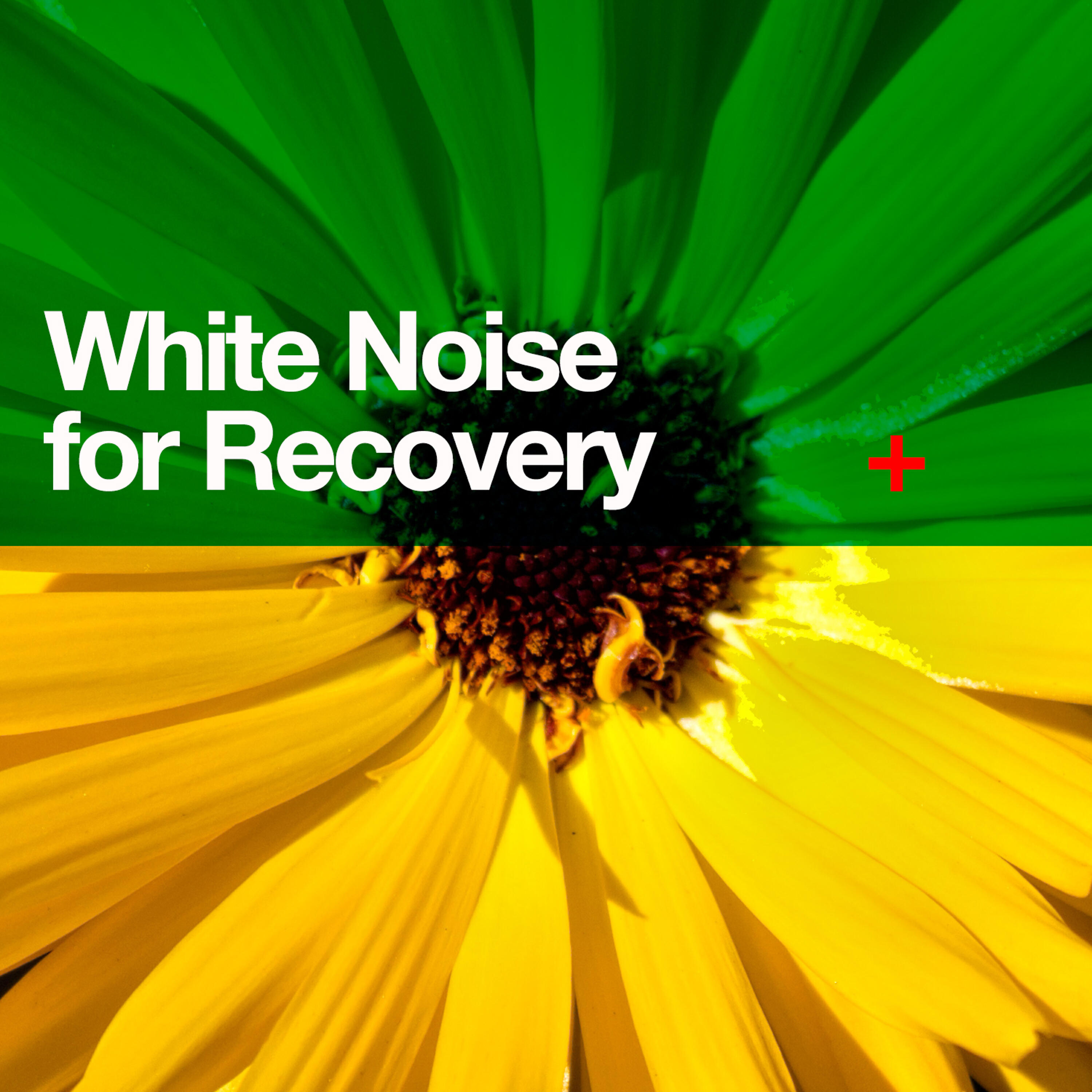 Outside Broadcast Recordings - White Noise: Fan Pulses