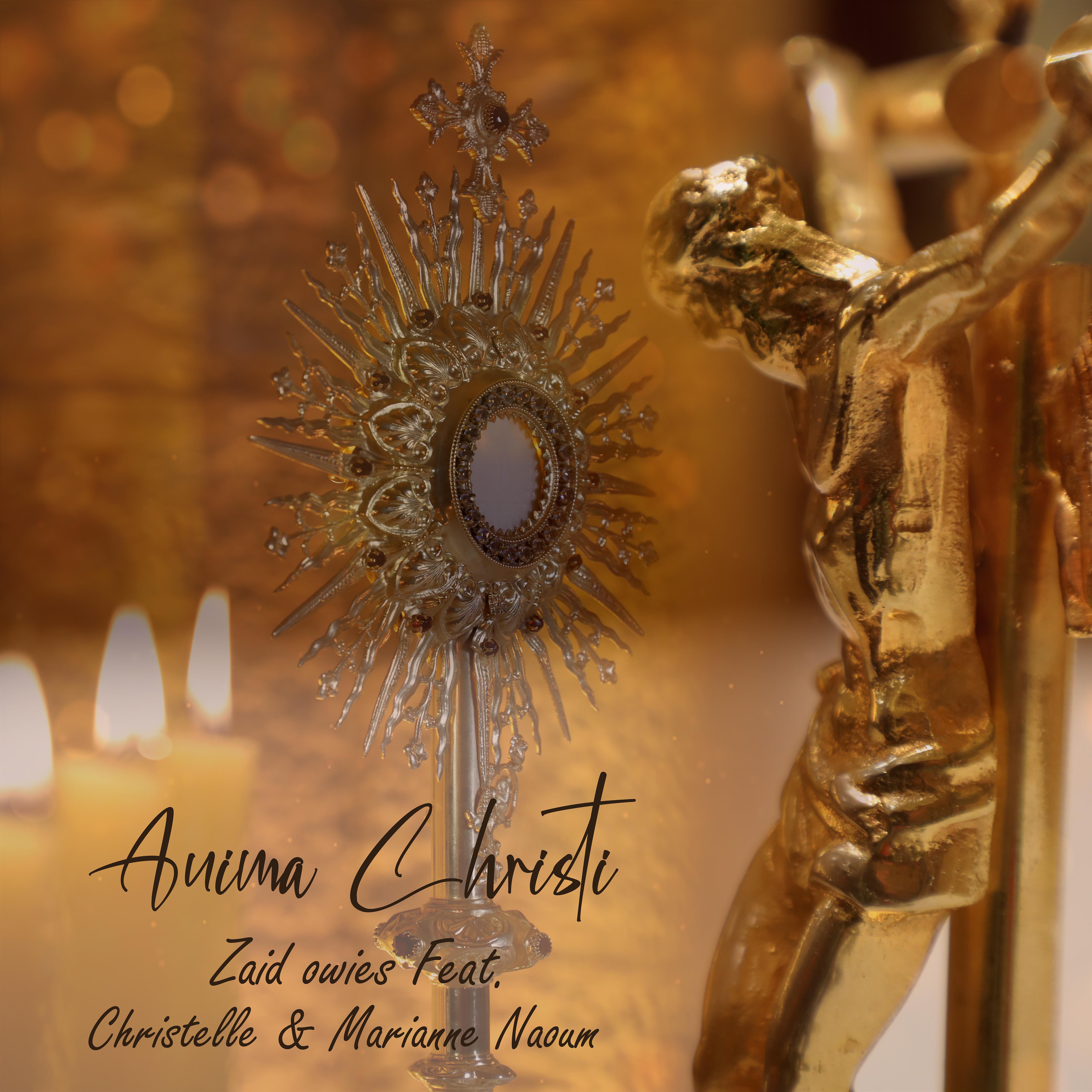 Постер альбома Anima Christi
