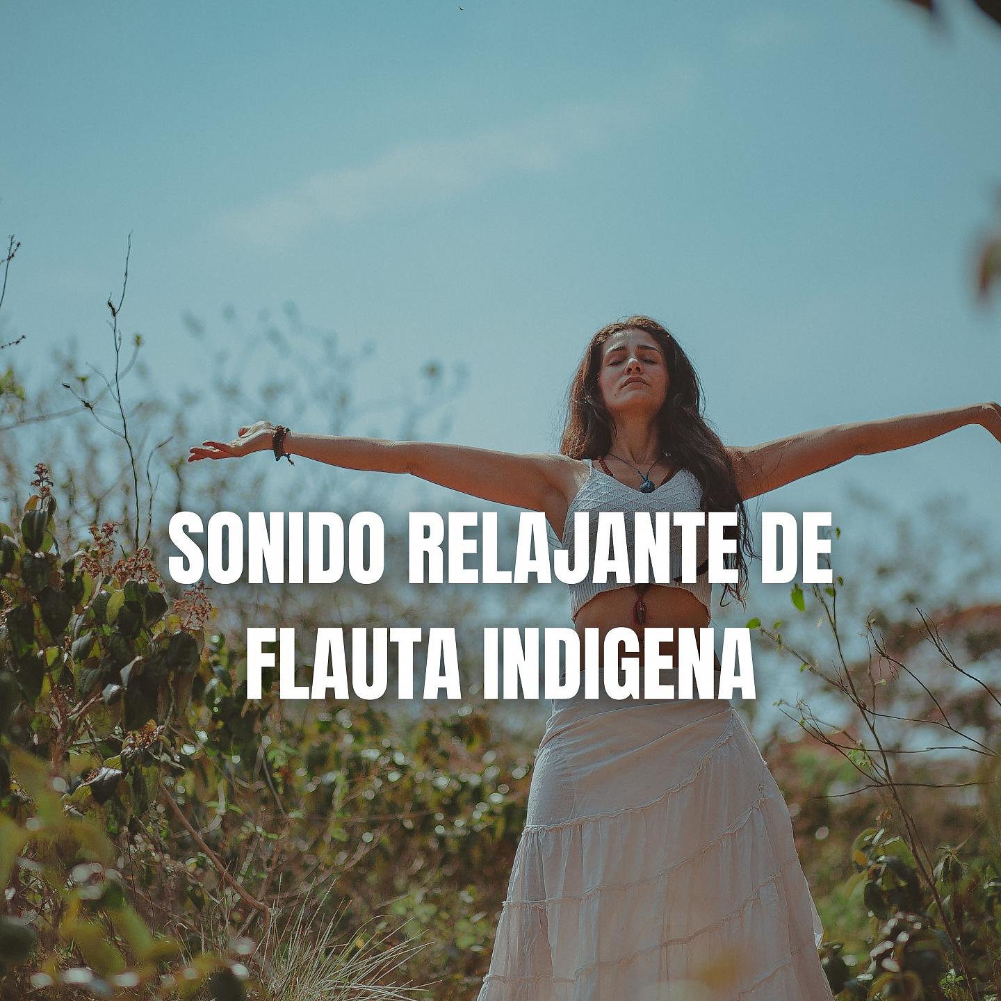 Постер альбома Sonido Relajante de Flauta Indígena