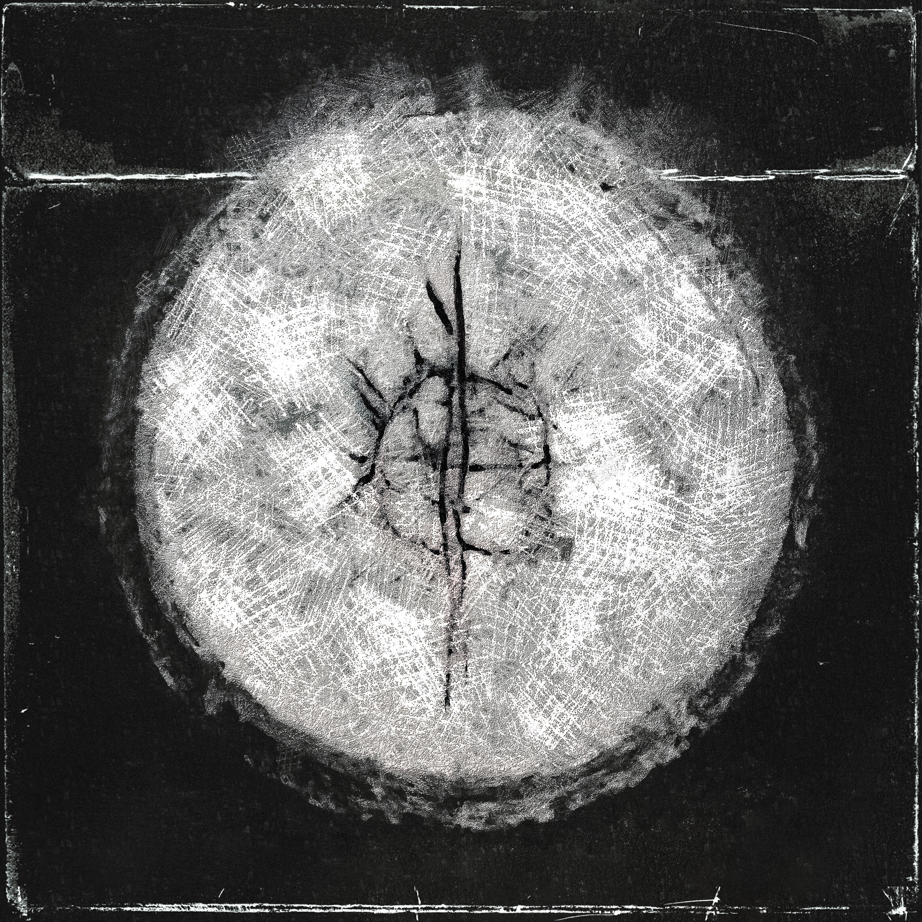 Pxlsdead - Сonscience