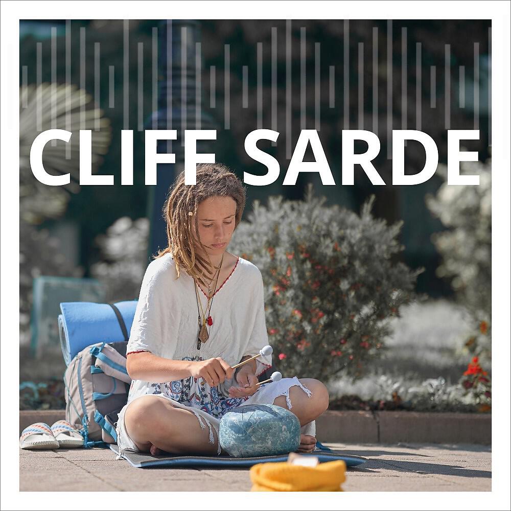 Cliff Sarde - Retro Chippy