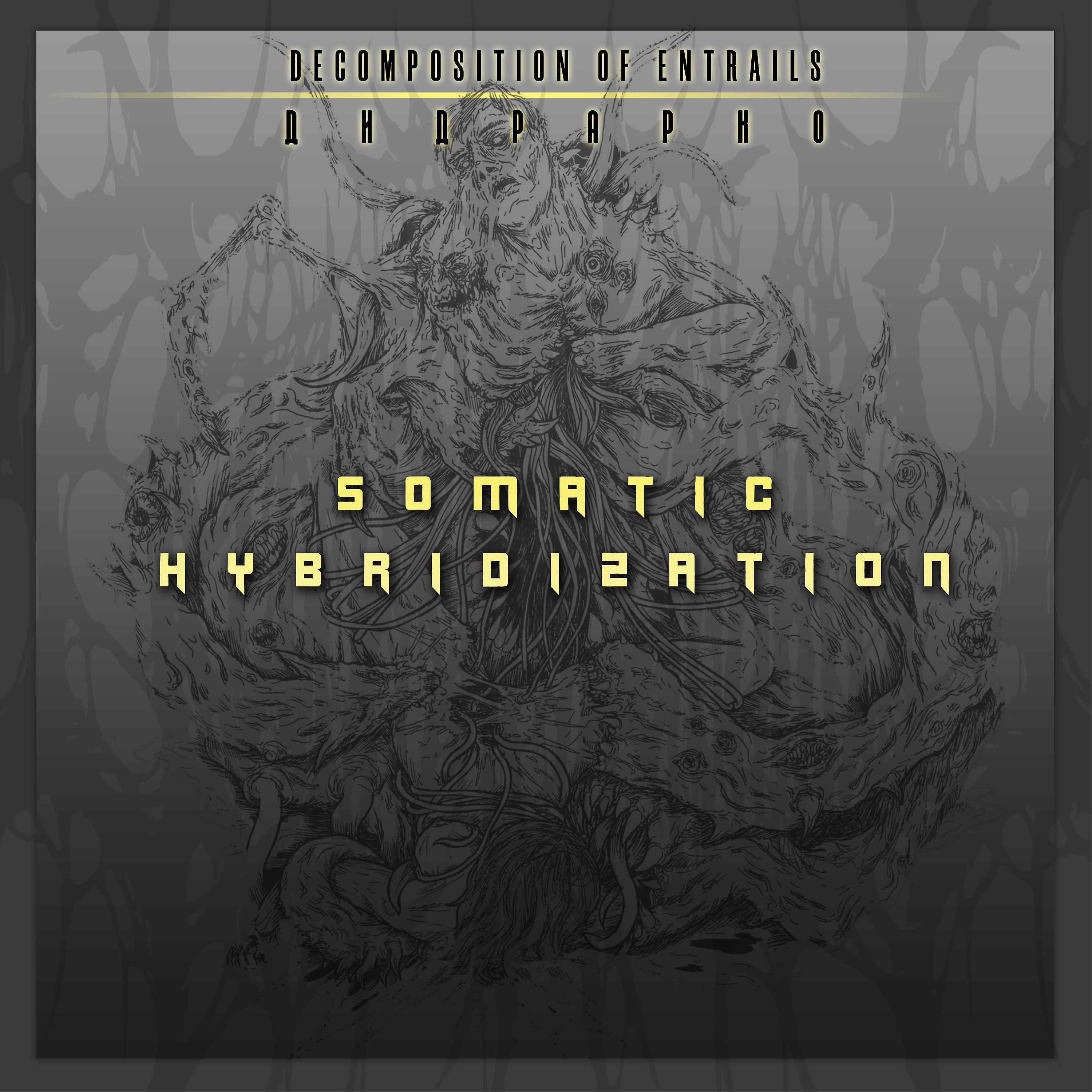 Постер альбома Somatic Hybridization