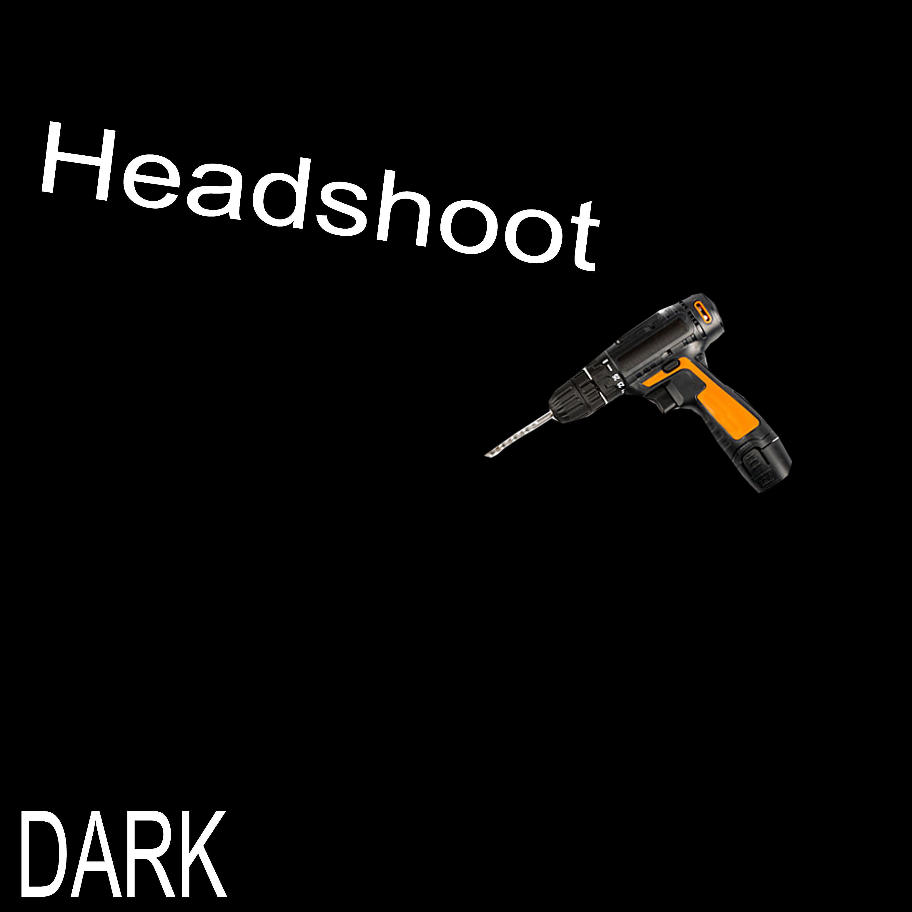 Постер альбома Headshoot