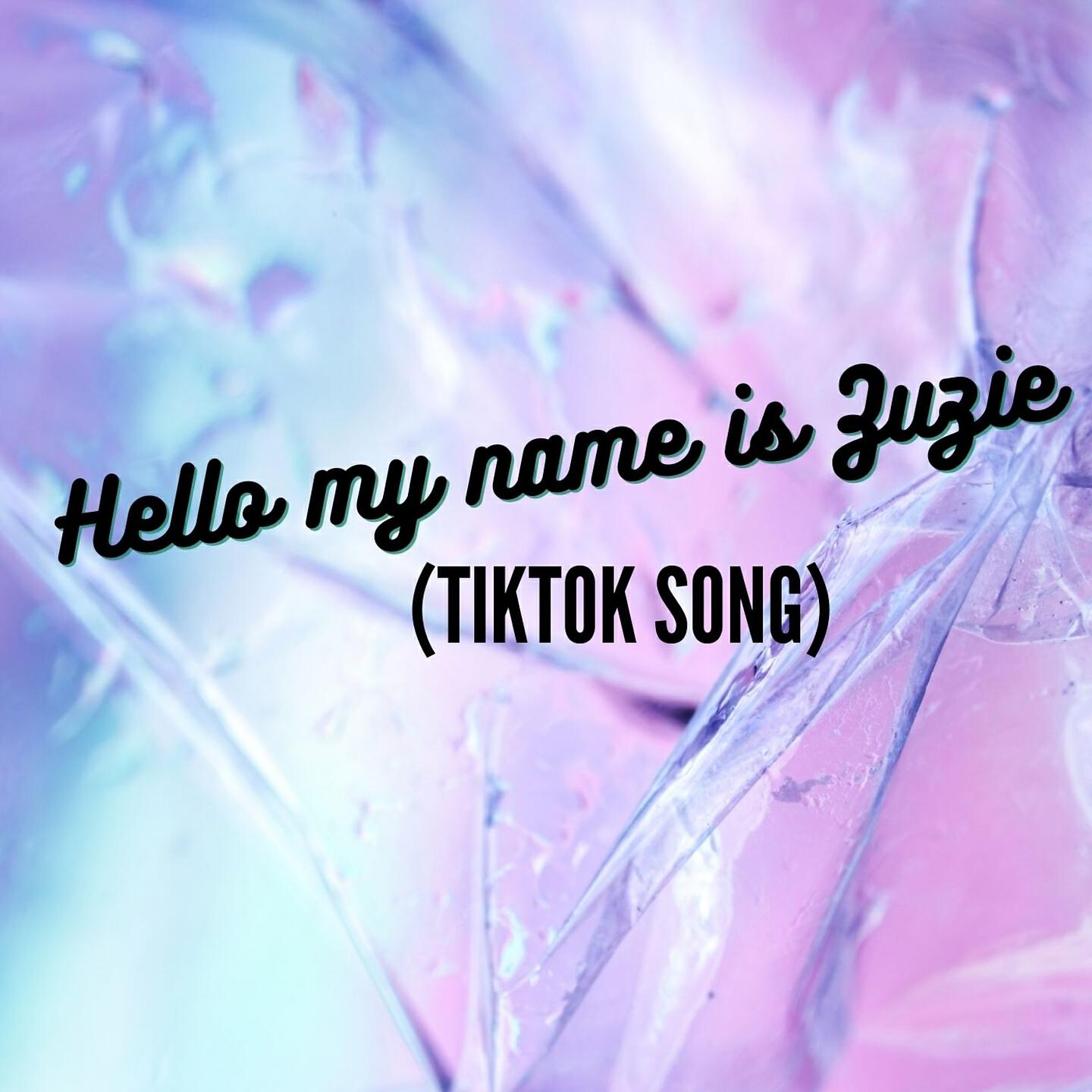 Dj Song Tik Tok - Hello my name is Zuzie (TikTok Song)