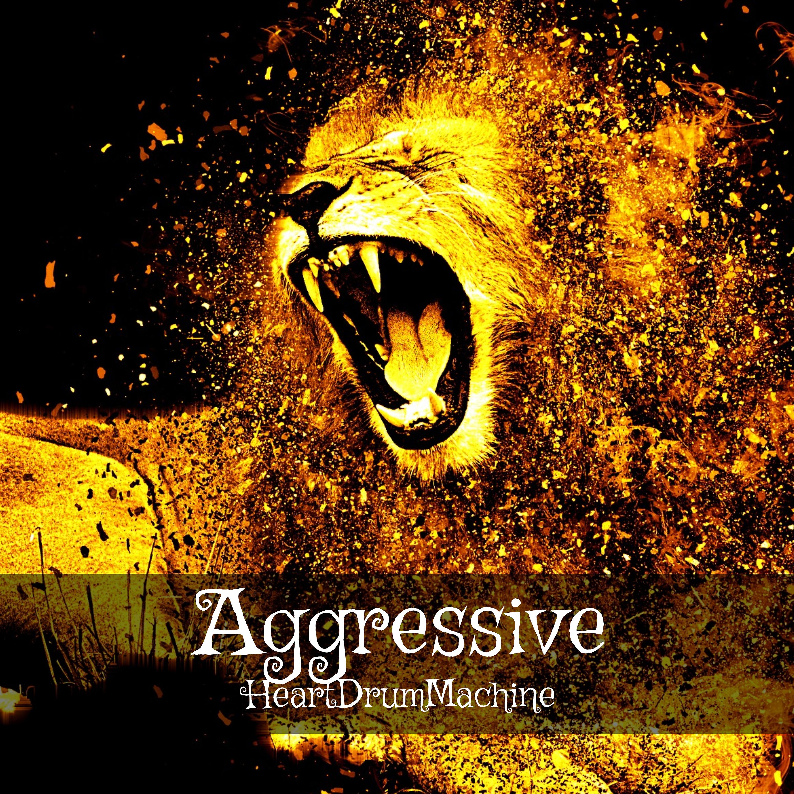 Постер альбома Aggressive