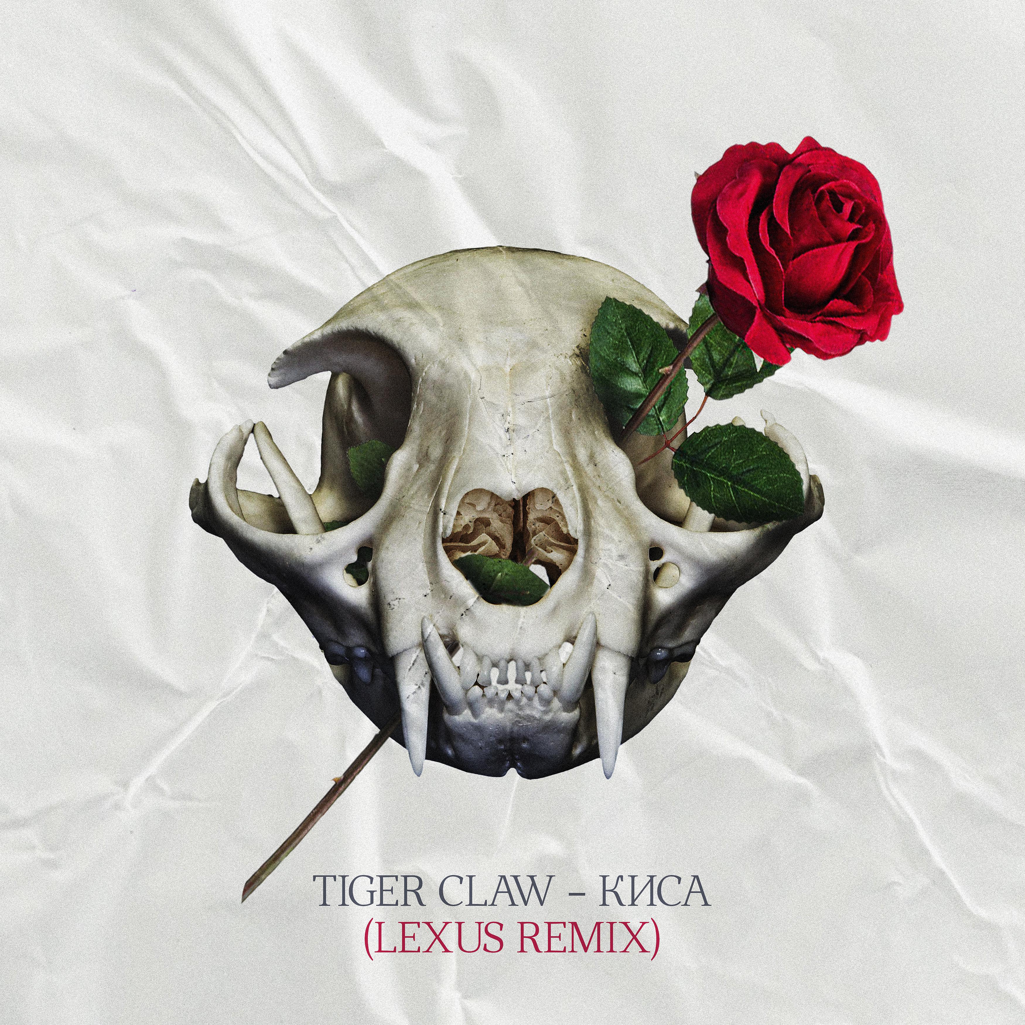Постер альбома Киса (Lexus Remix)
