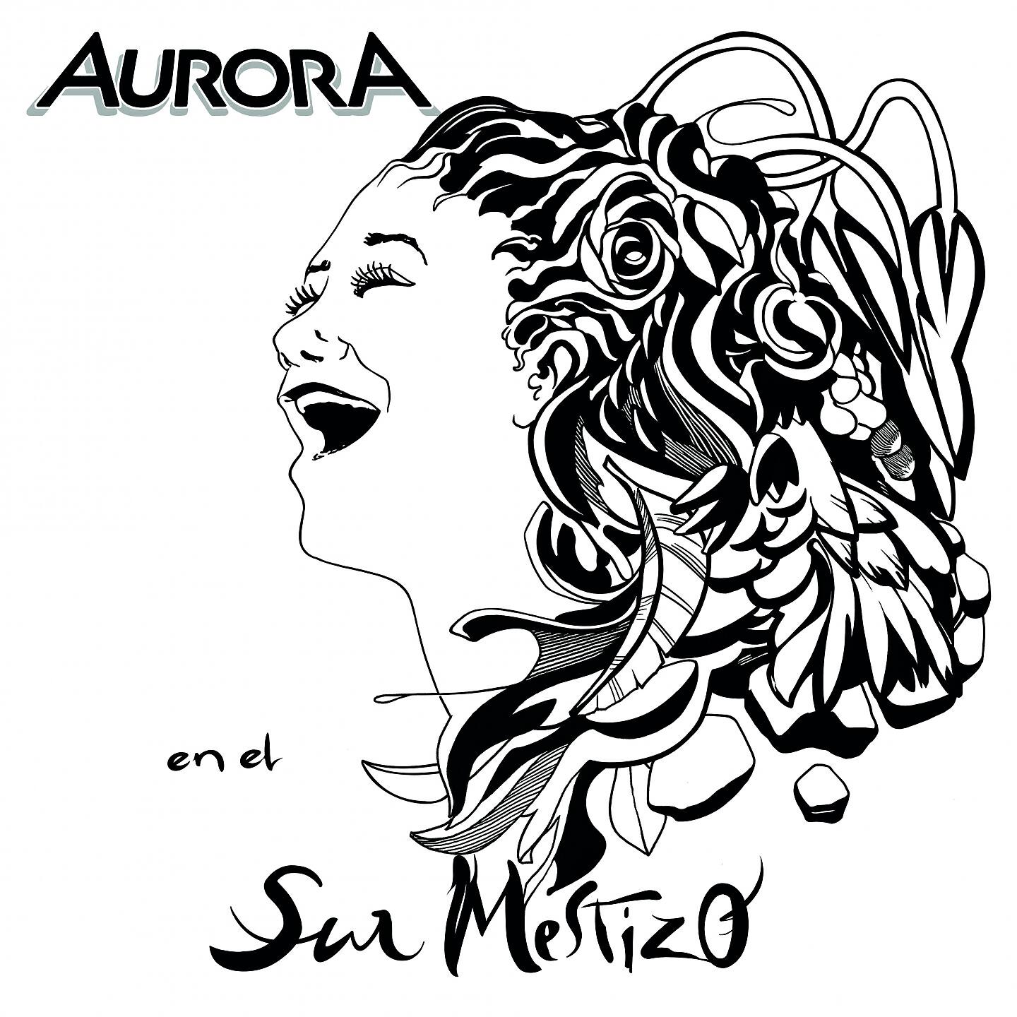 Aurora en el Sur Mestizo - Una Larga Noche