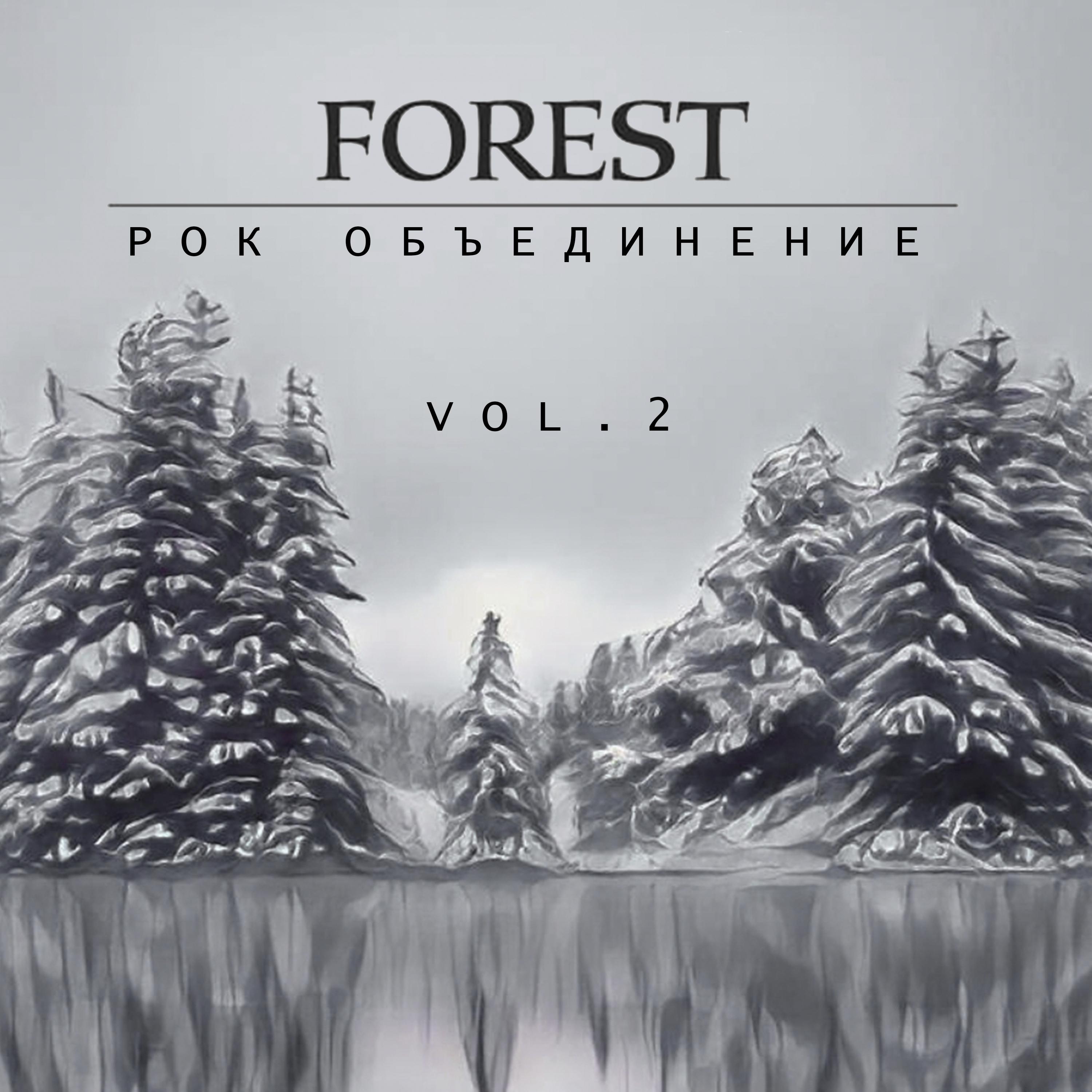 Постер альбома Рок объединение Forest, Vol.2