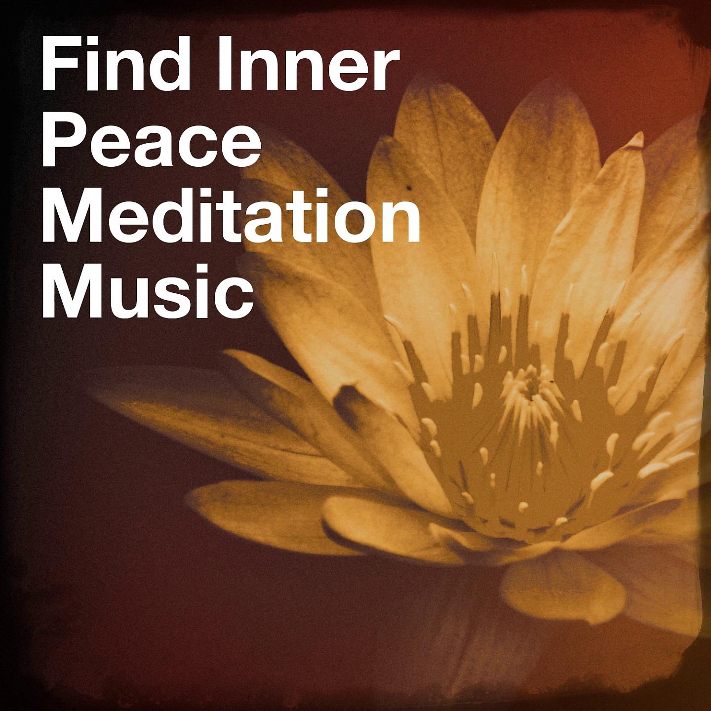 Постер альбома Find Inner Peace Meditation Music