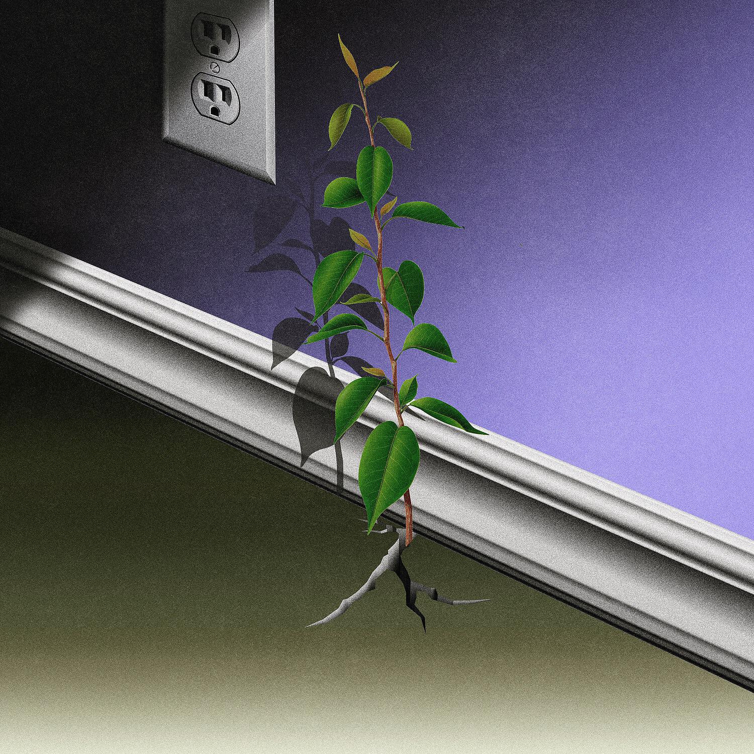 Ben Beal - Eucalyptus