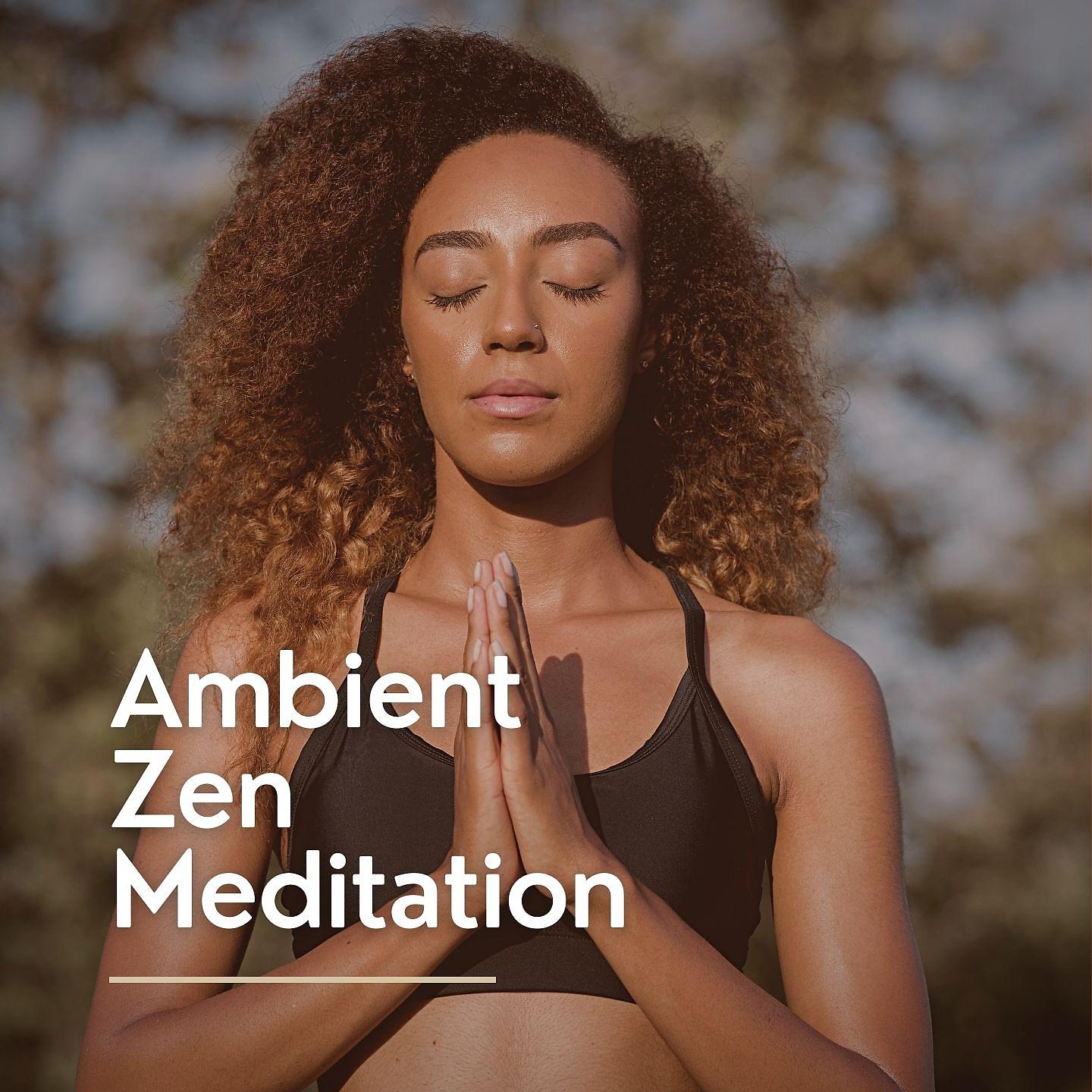 Постер альбома Ambient Zen Meditation