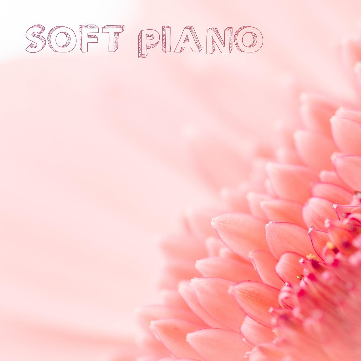 Classical New Age Piano Music - Water Lily