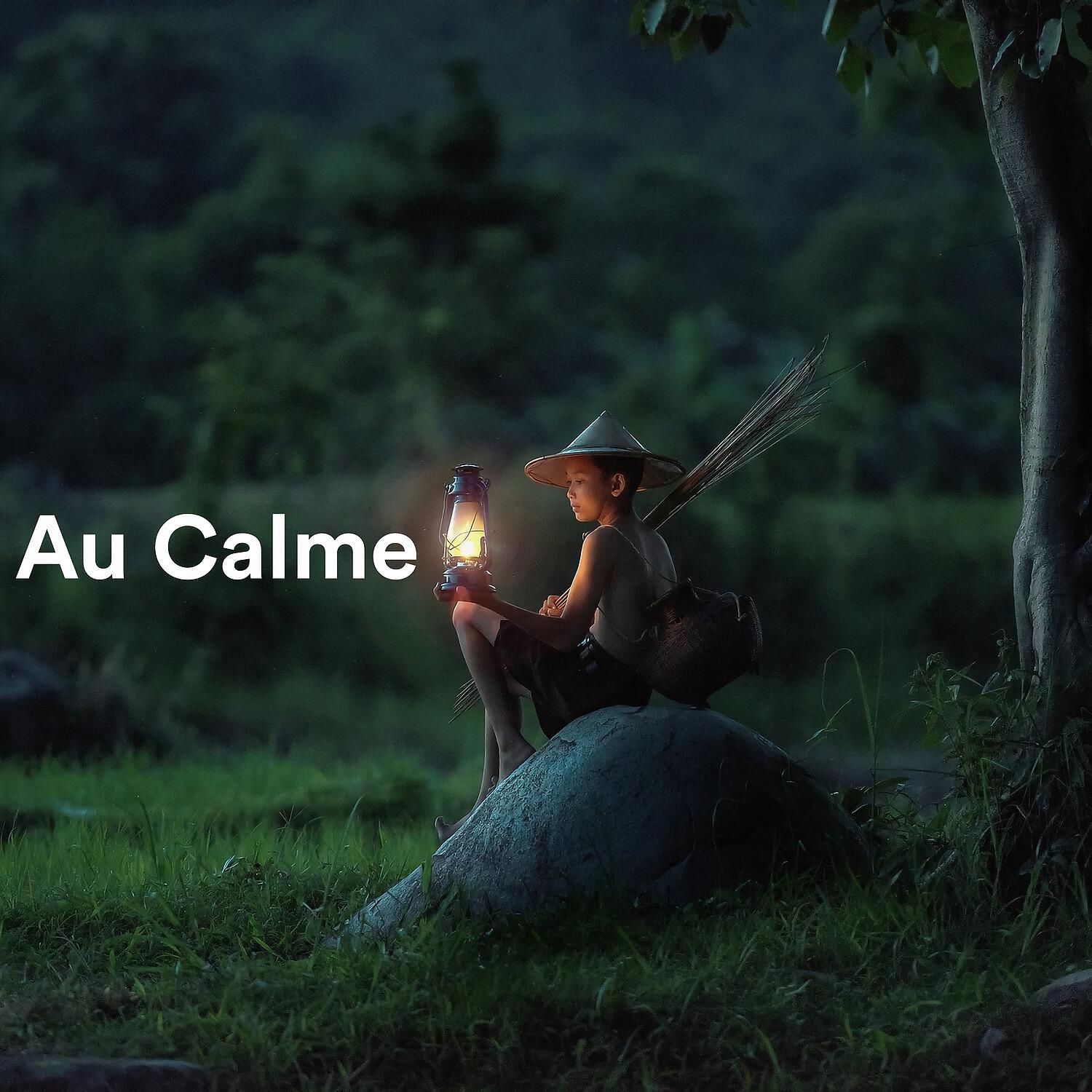 Musique Calme et Relaxation - Aging