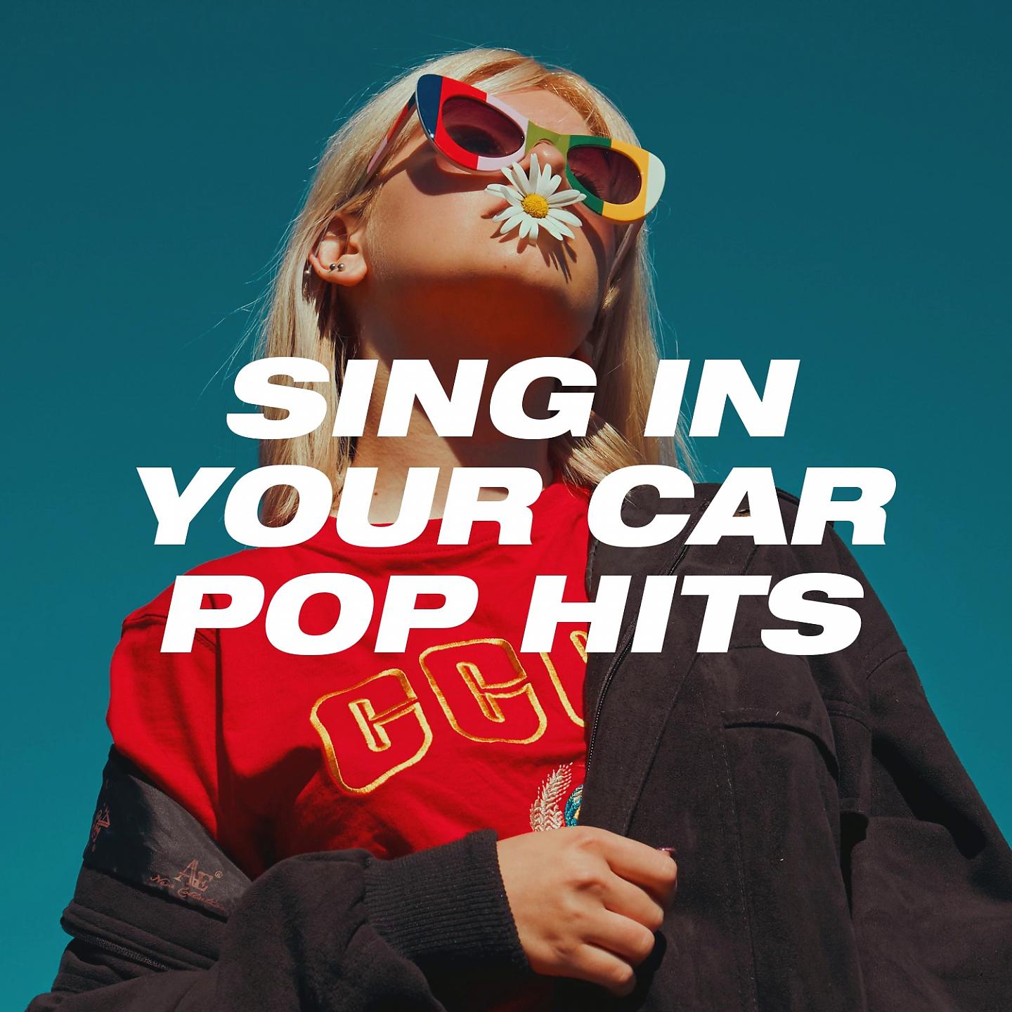 Постер альбома Sing in Your Car Pop Hits