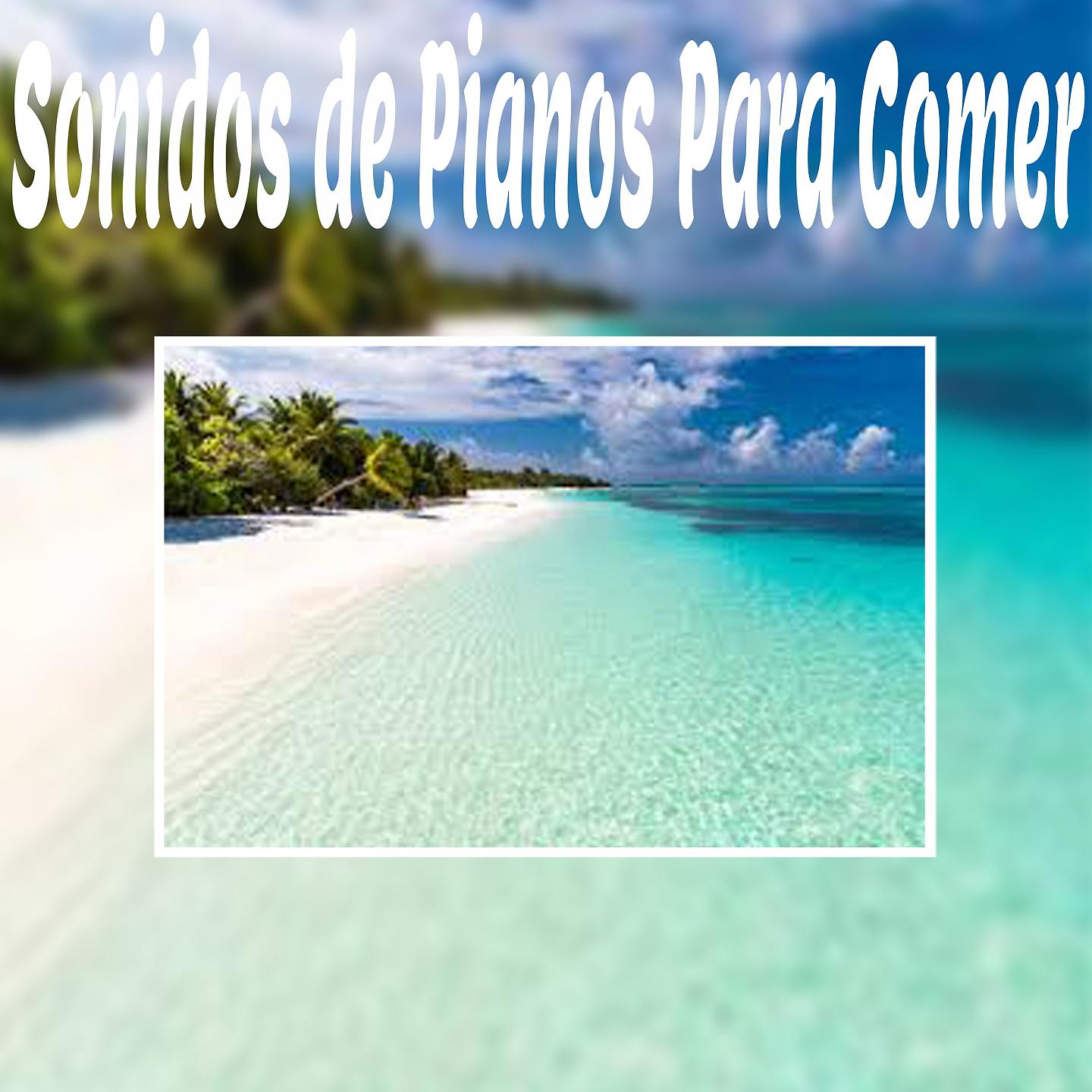 Постер альбома Sonidos de Pianos para Comer