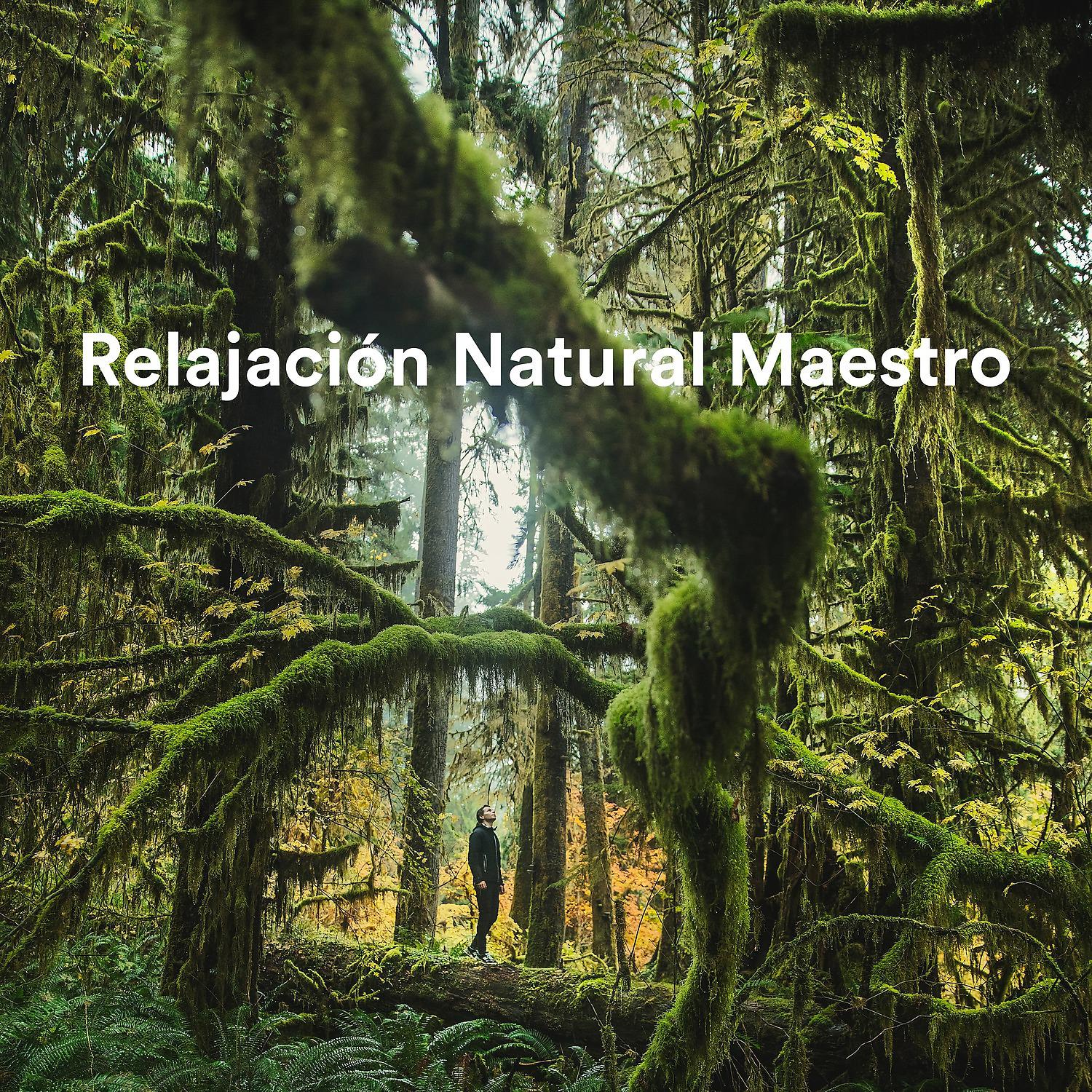 Постер альбома Relajación Natural Maestro