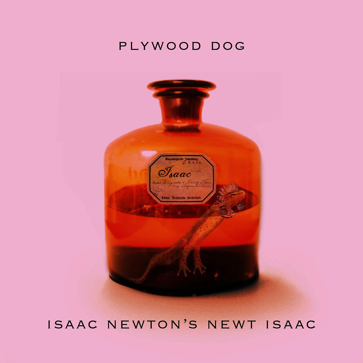 Постер альбома Isaac Newton's Newt Isaac