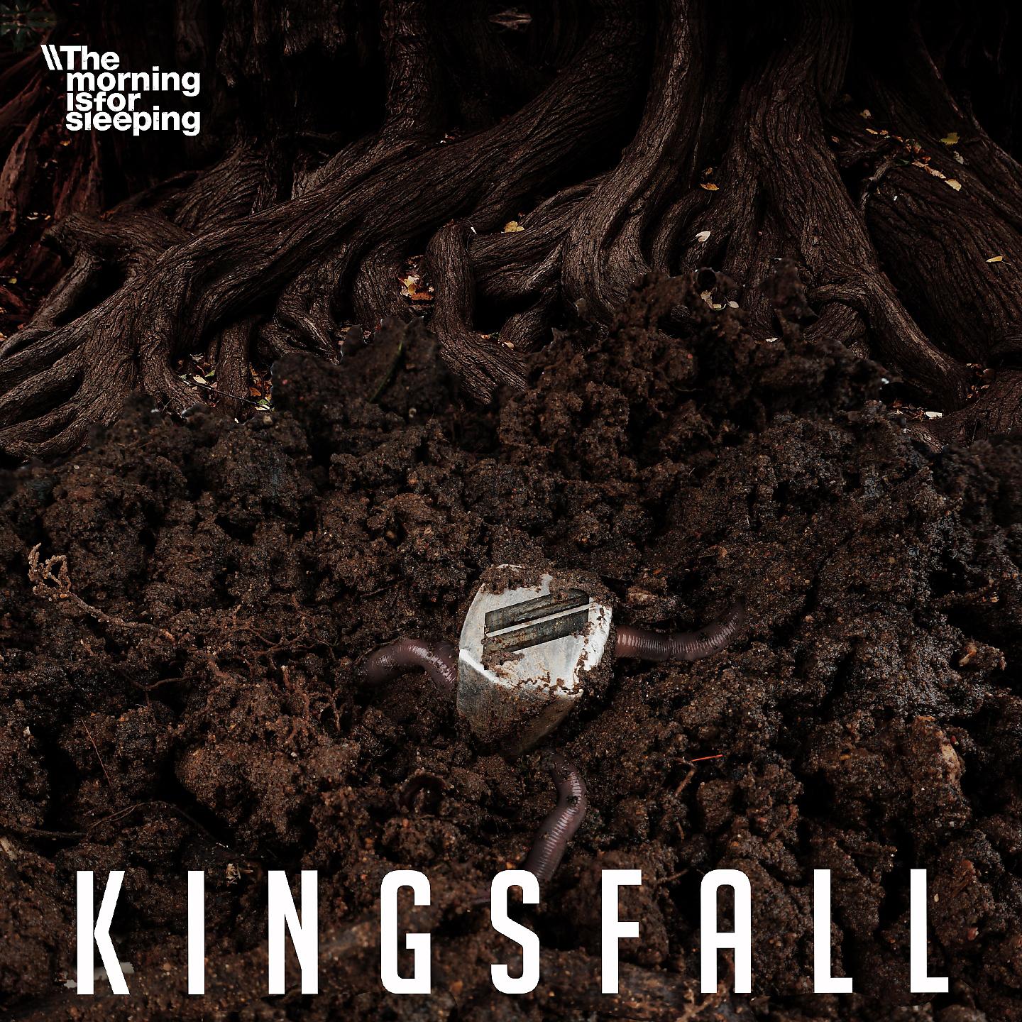 Постер альбома Kings Fall