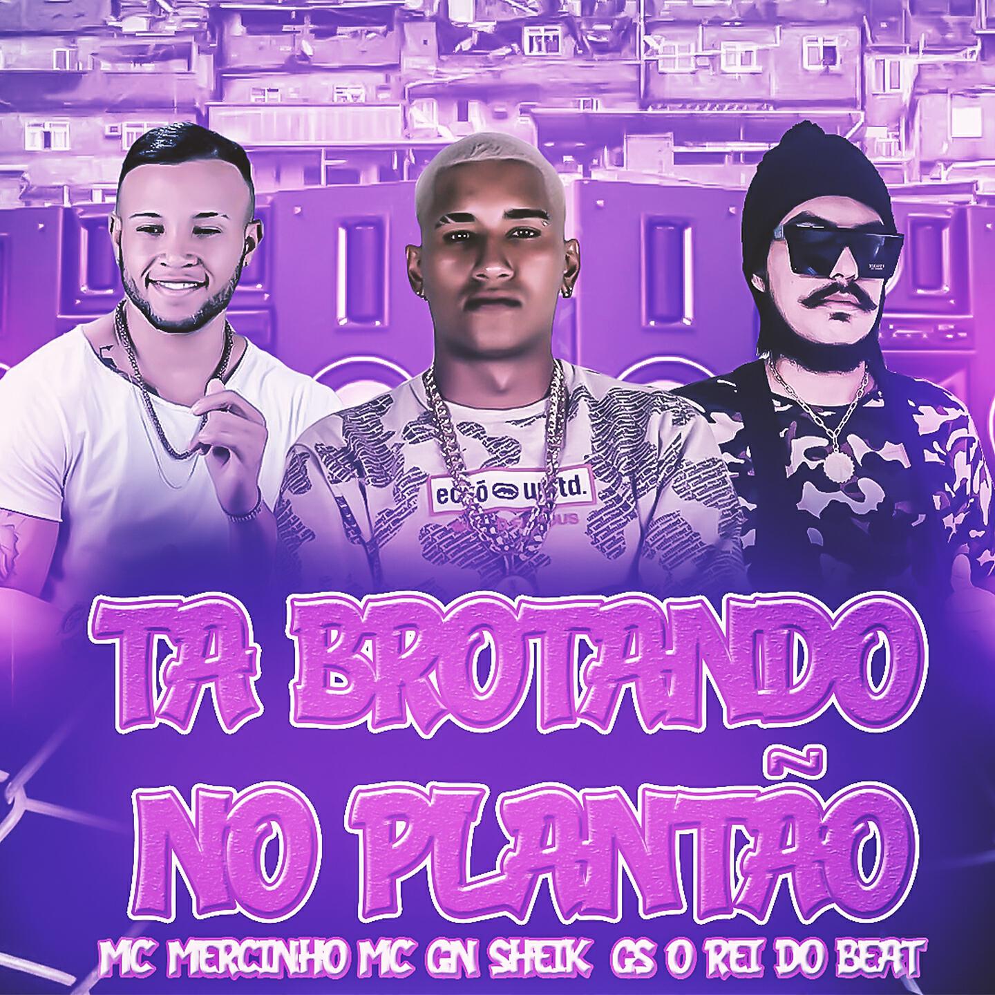 GS O Rei do Beat - Ta Brotando no Plantão (Bregafunk Remix)